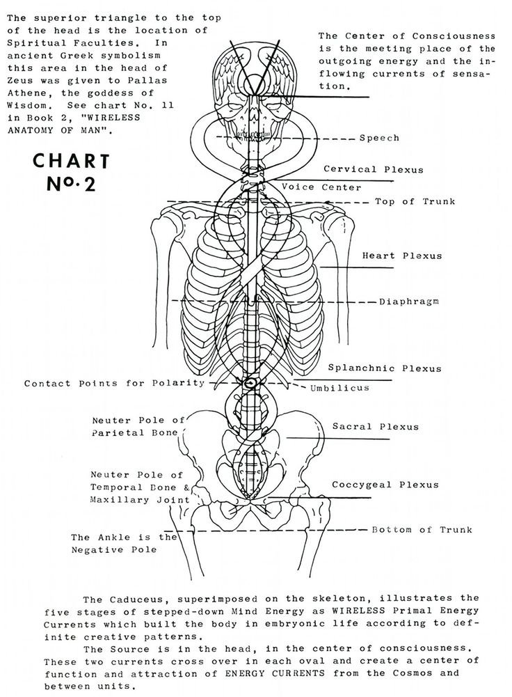 book 1 chart 2.jpg