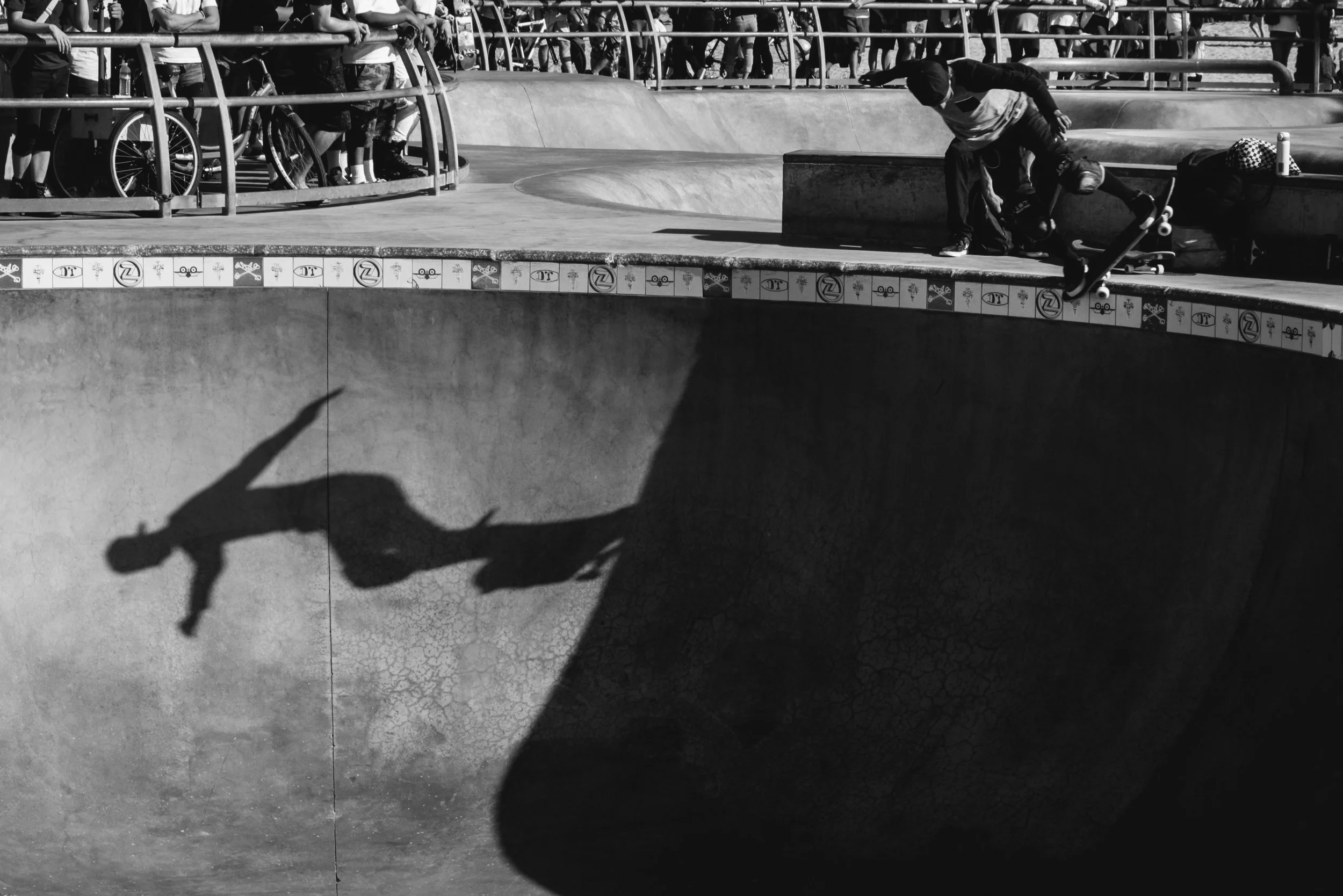 Venice Skate Park-1.jpg