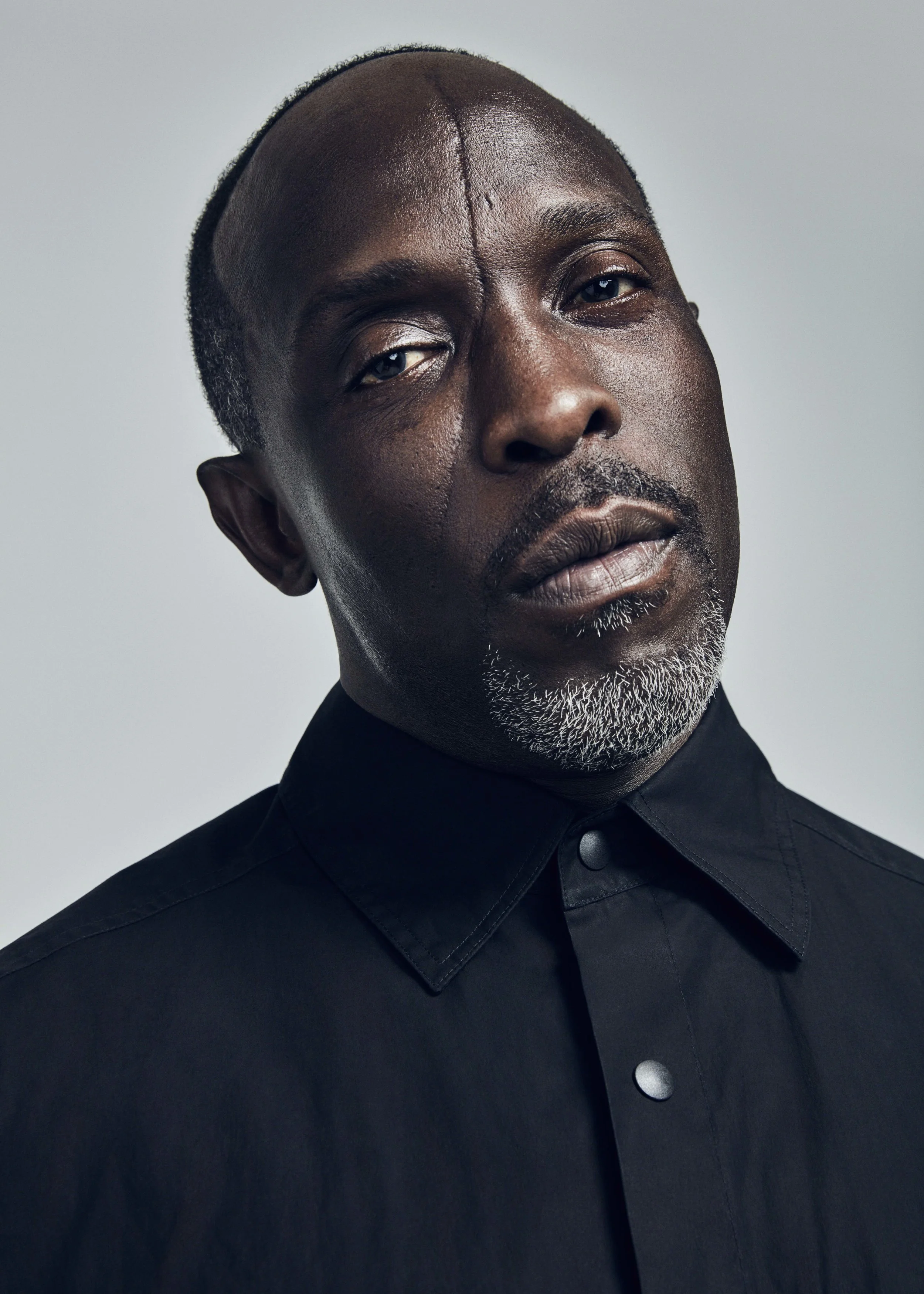 040419_Variety_AoA_Emmys_2_MichaelKWilliams_129_2273FC_B_ADOBERGB.jpg