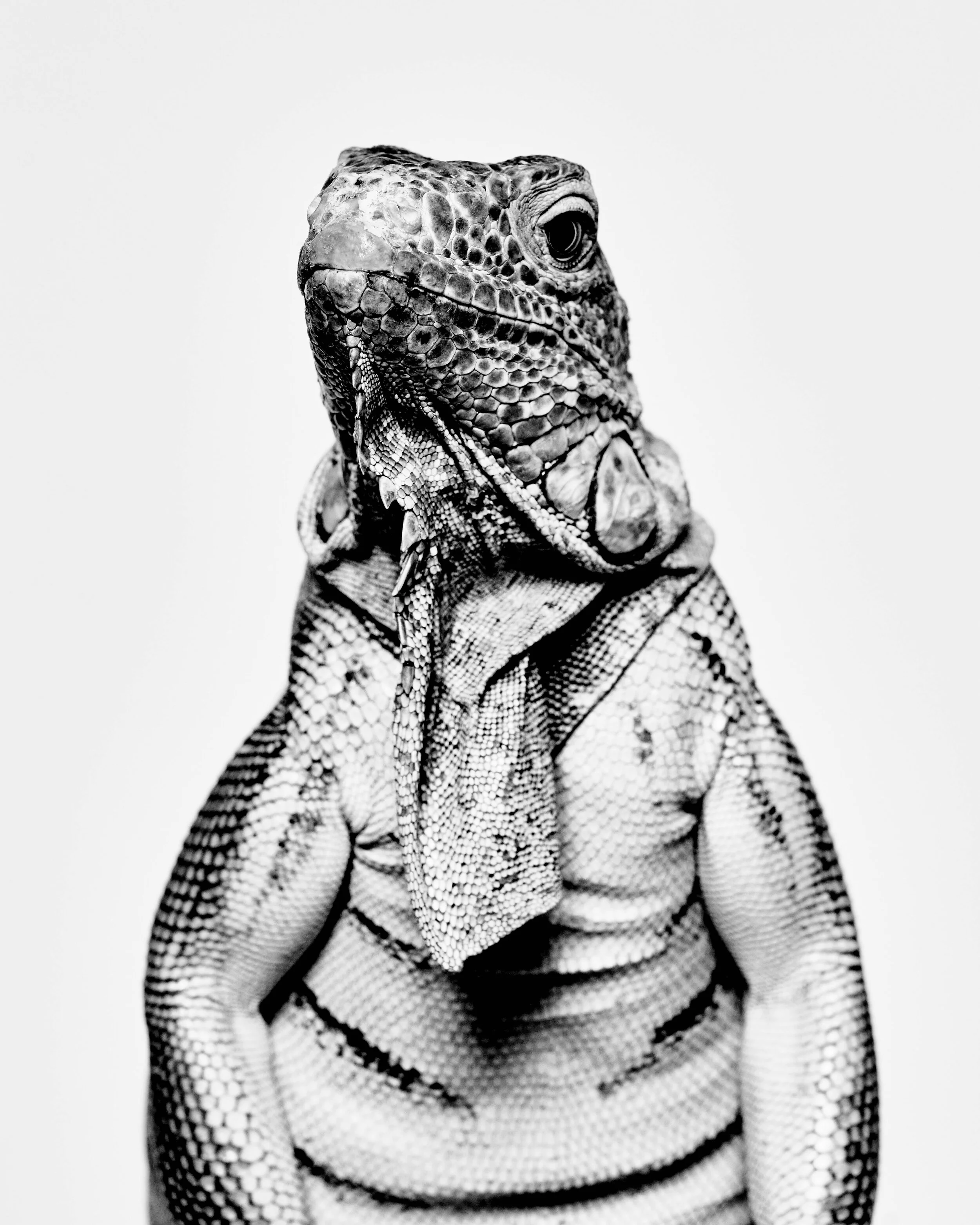 121320_Snakes_DaniWall0036.jpg