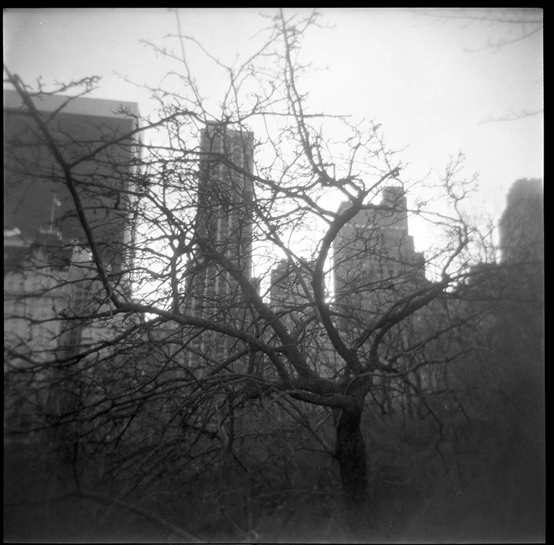 Central Park, New York City
