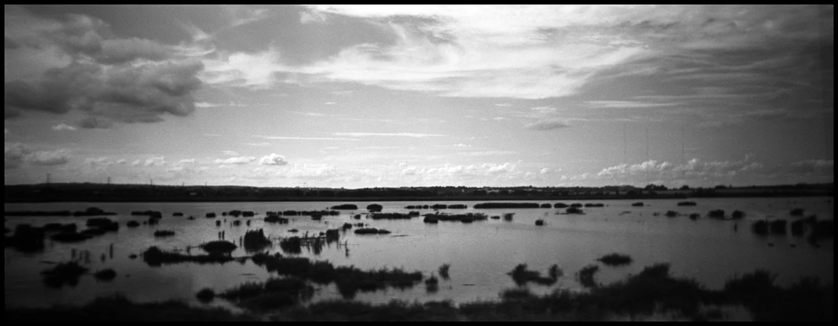 New Jersey Meadowlands