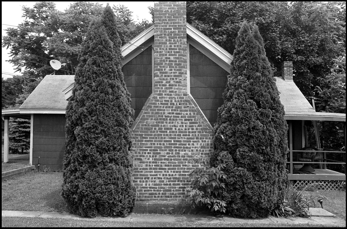 Two Trees | Philmont, NY