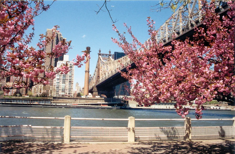 W. Main Street, Roosevelt Island, New York