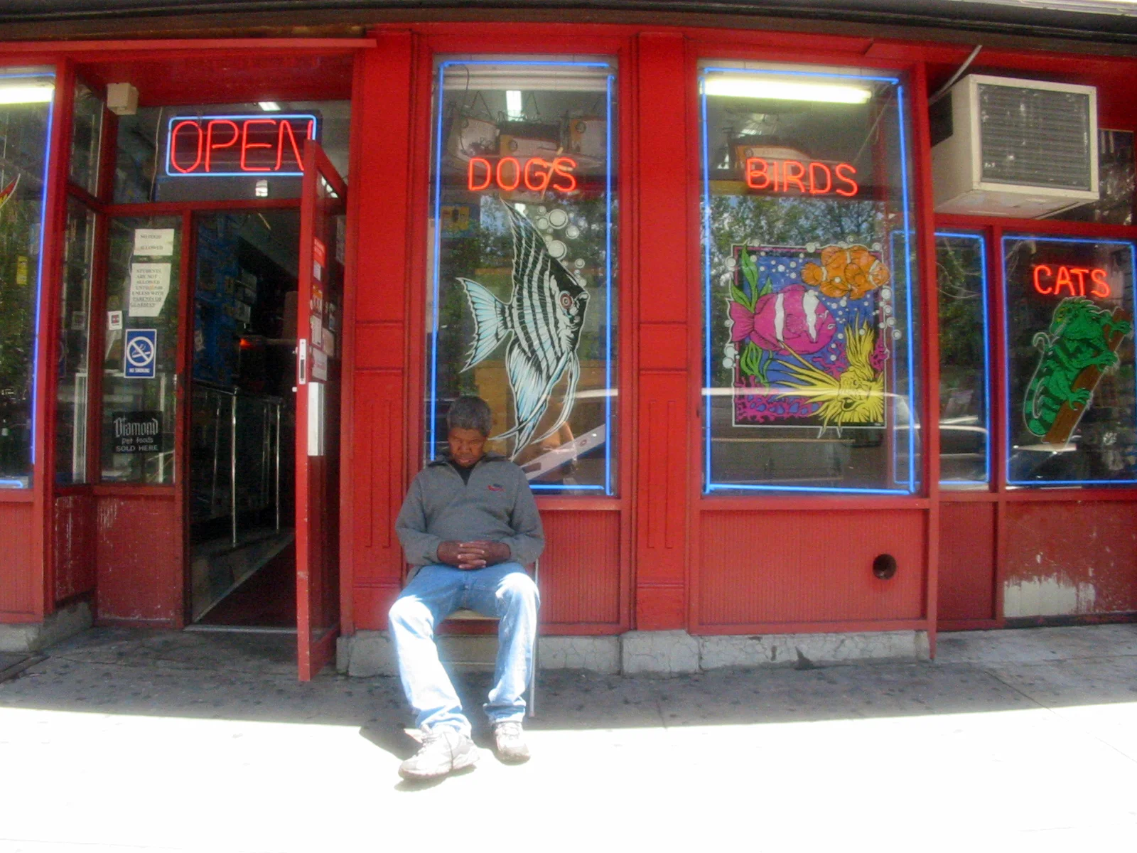 Pet Store, 125th Street, New York, NY