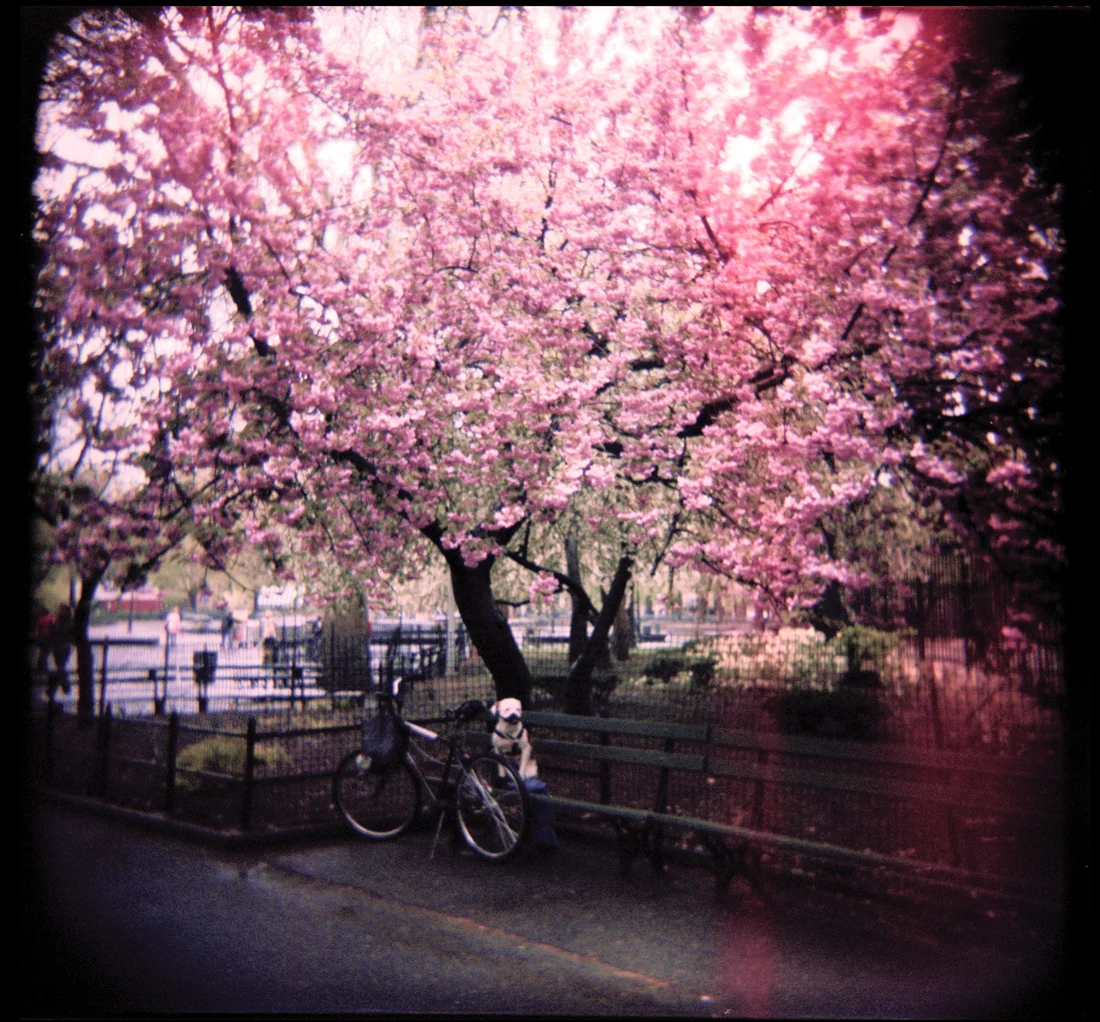 Washington Square Park, New York City