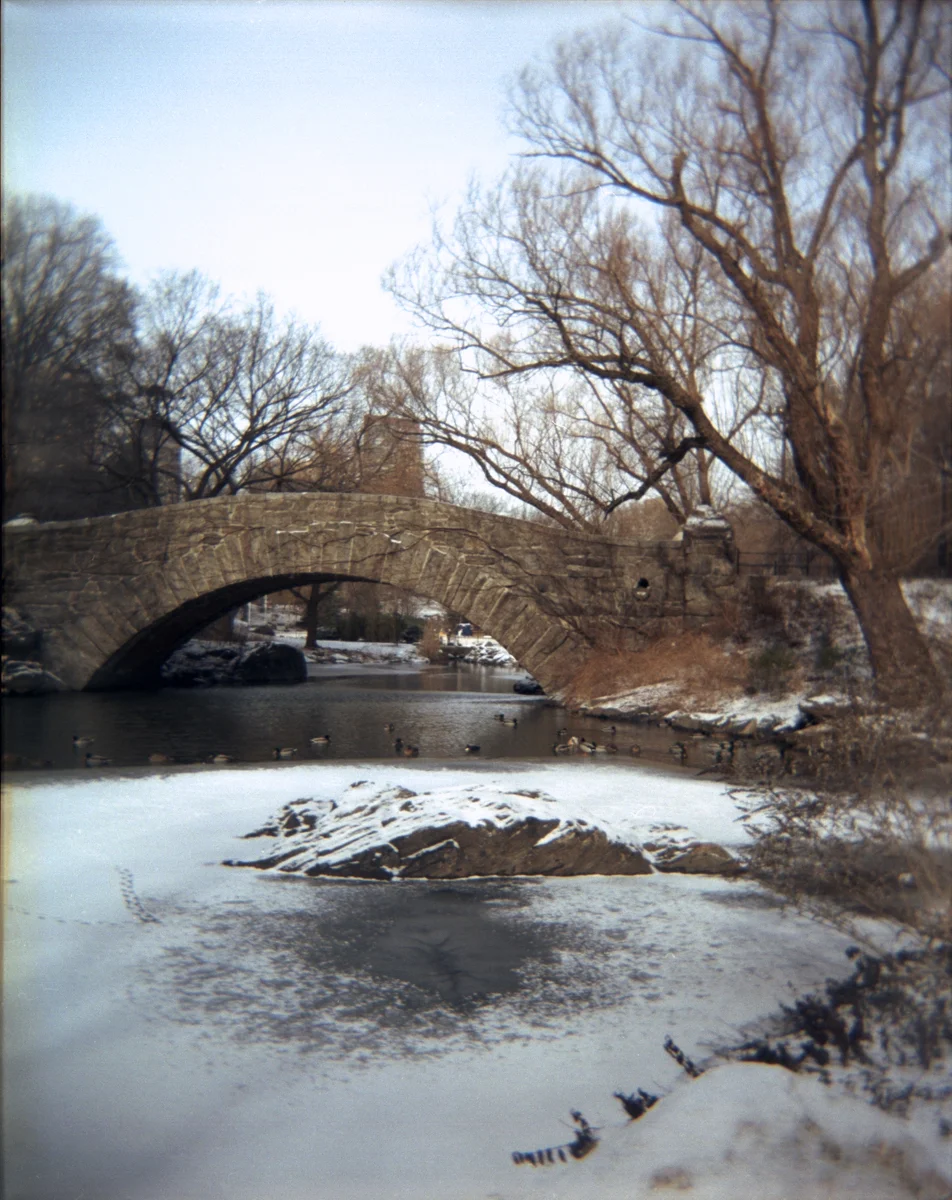 Gapstow Bridge, Central Park, New York City