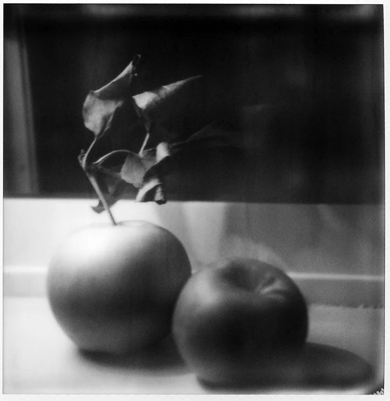 Apples | Polaroid SX-70