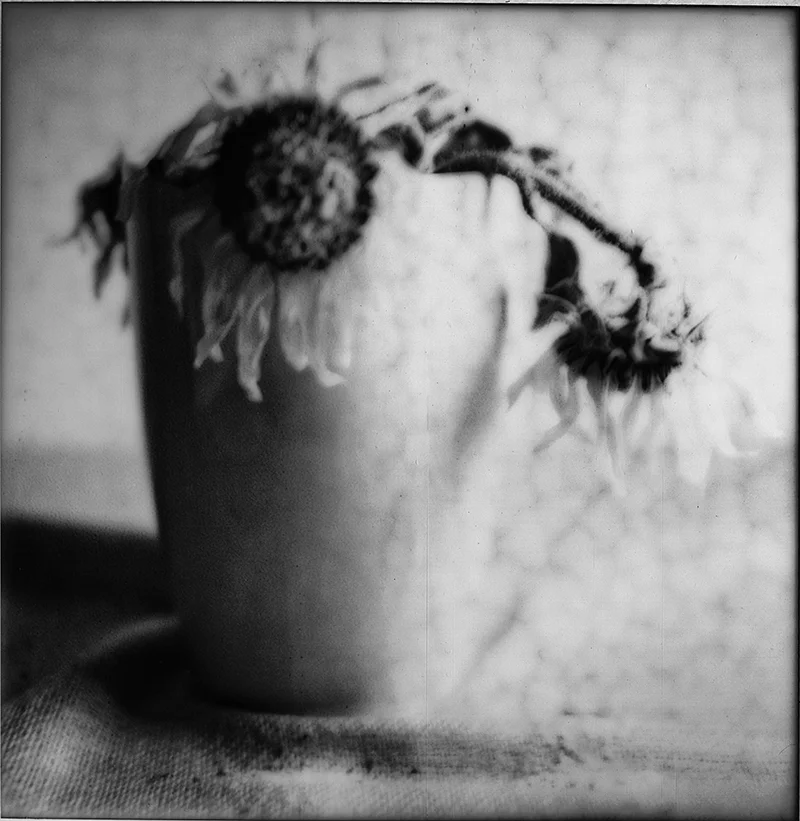 Dead | Hudson, NY