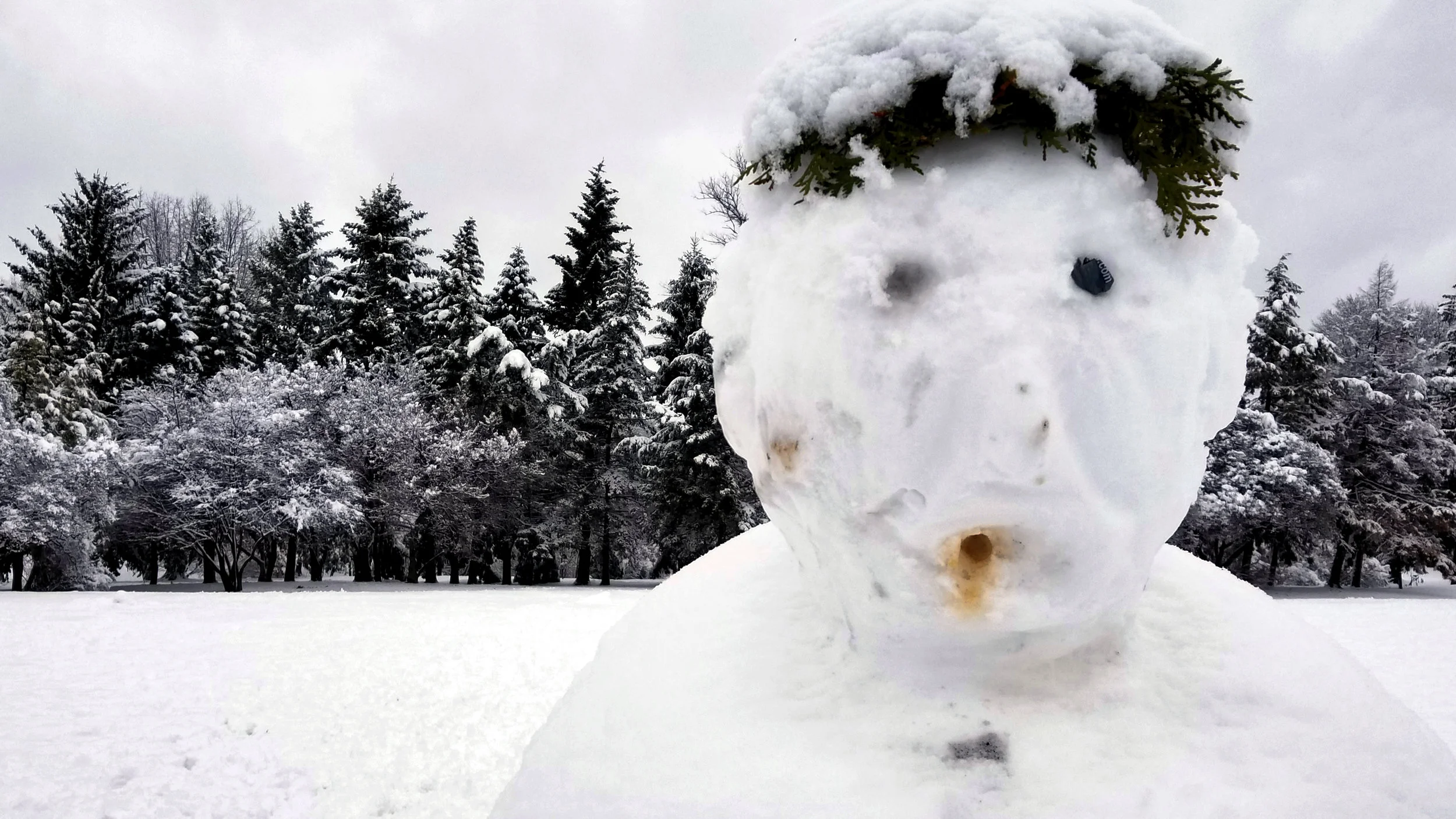 The Snowman | Washington Park, Albany NY