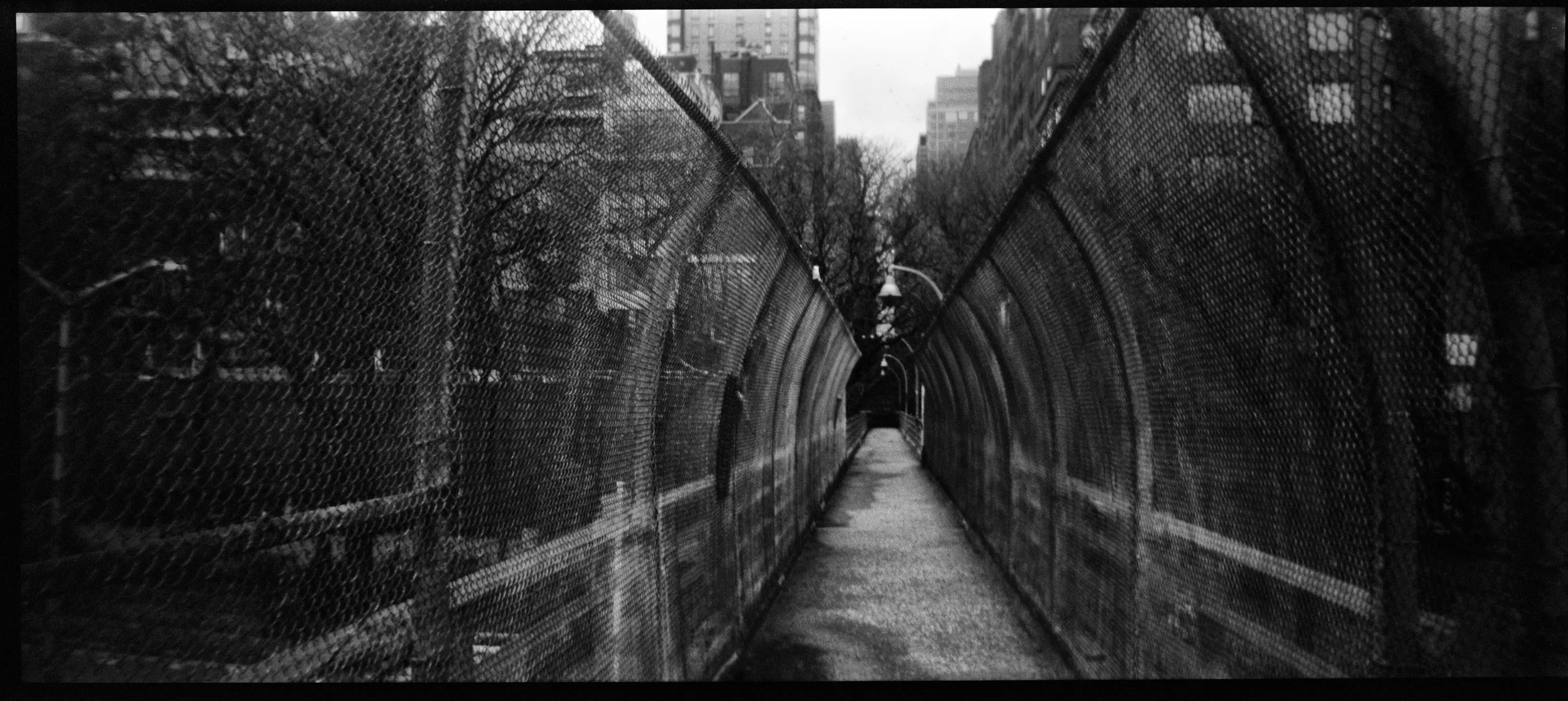 Dark Days | E 51st Street Pedestrian Crossing, New York NY