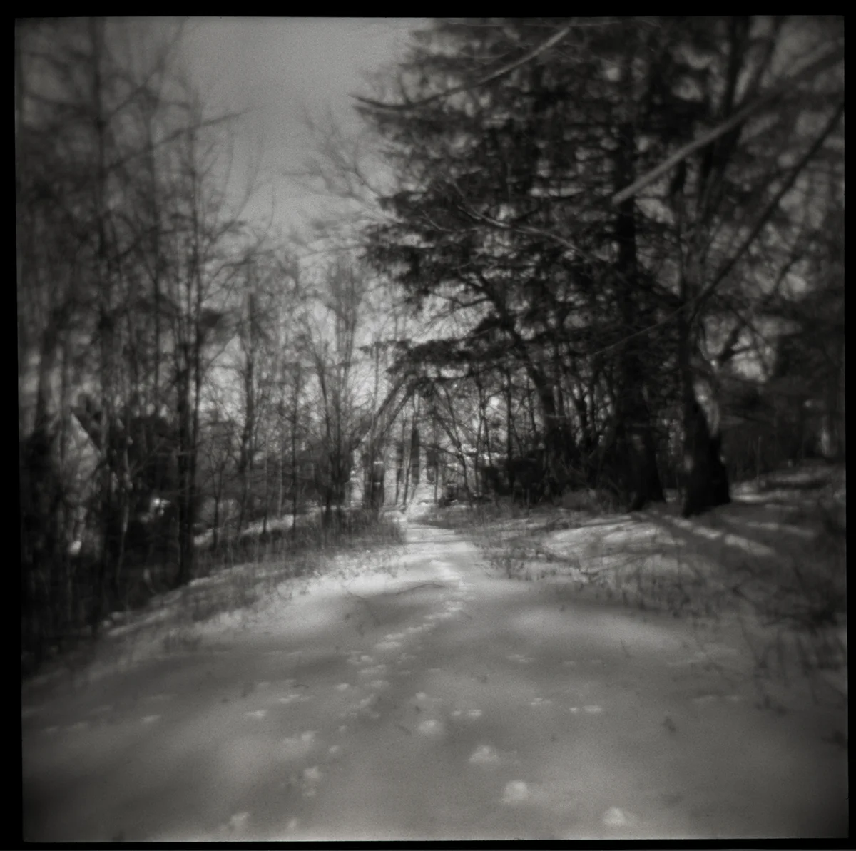 Tracks | Sharon Springs, New York