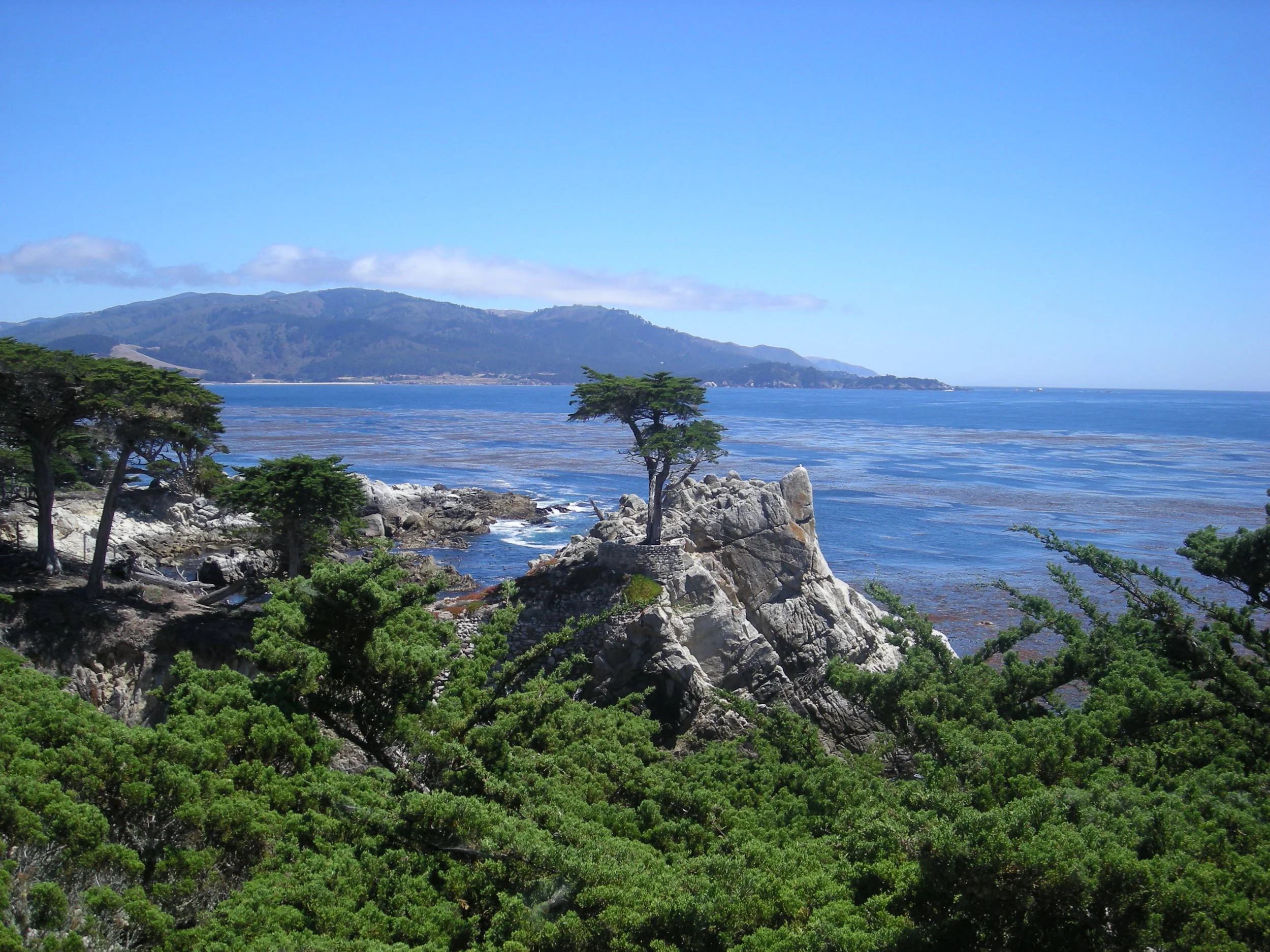 Lone_Cypress_July_2007.jpeg