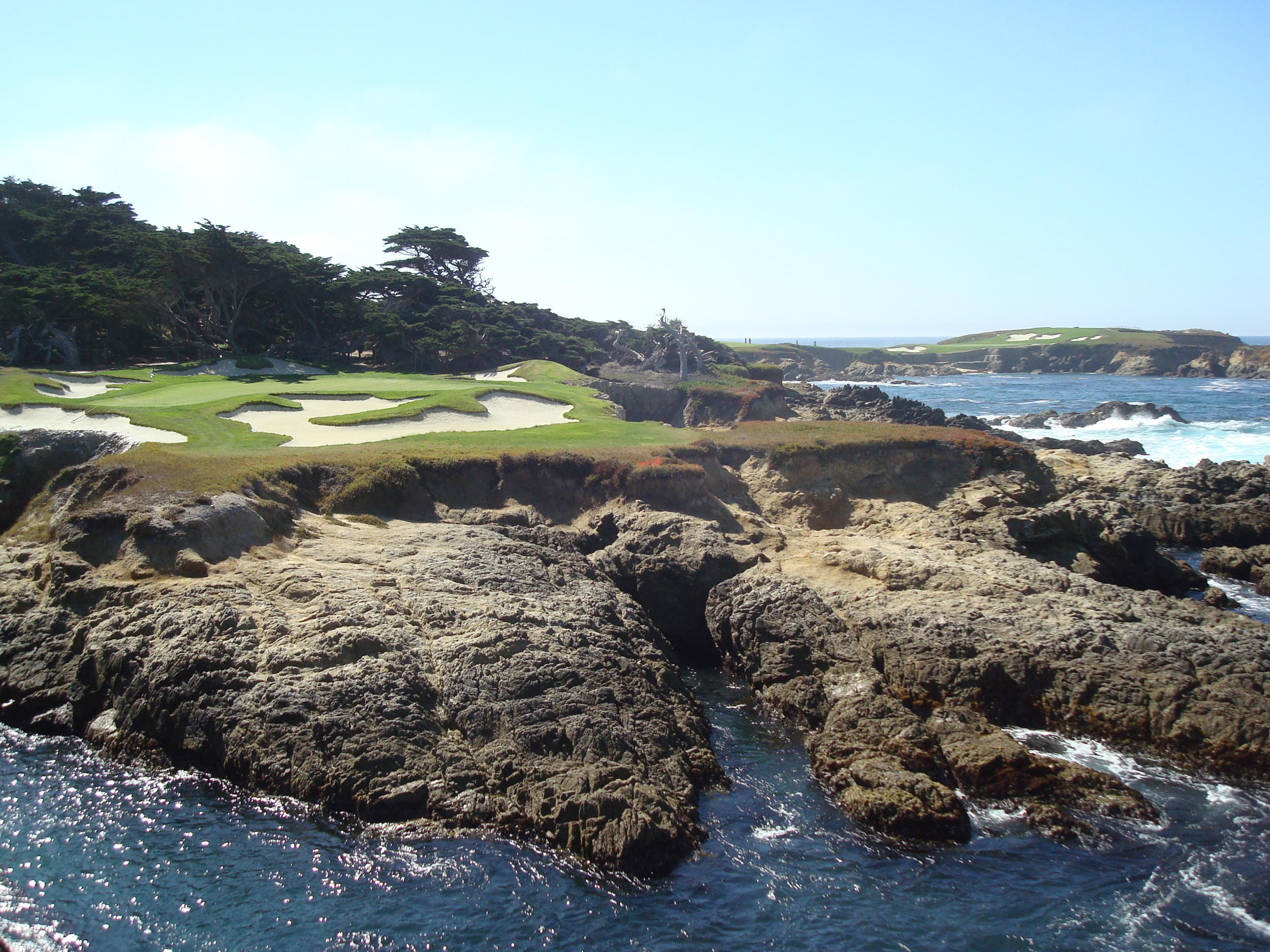 cypress 15 and 16.jpeg