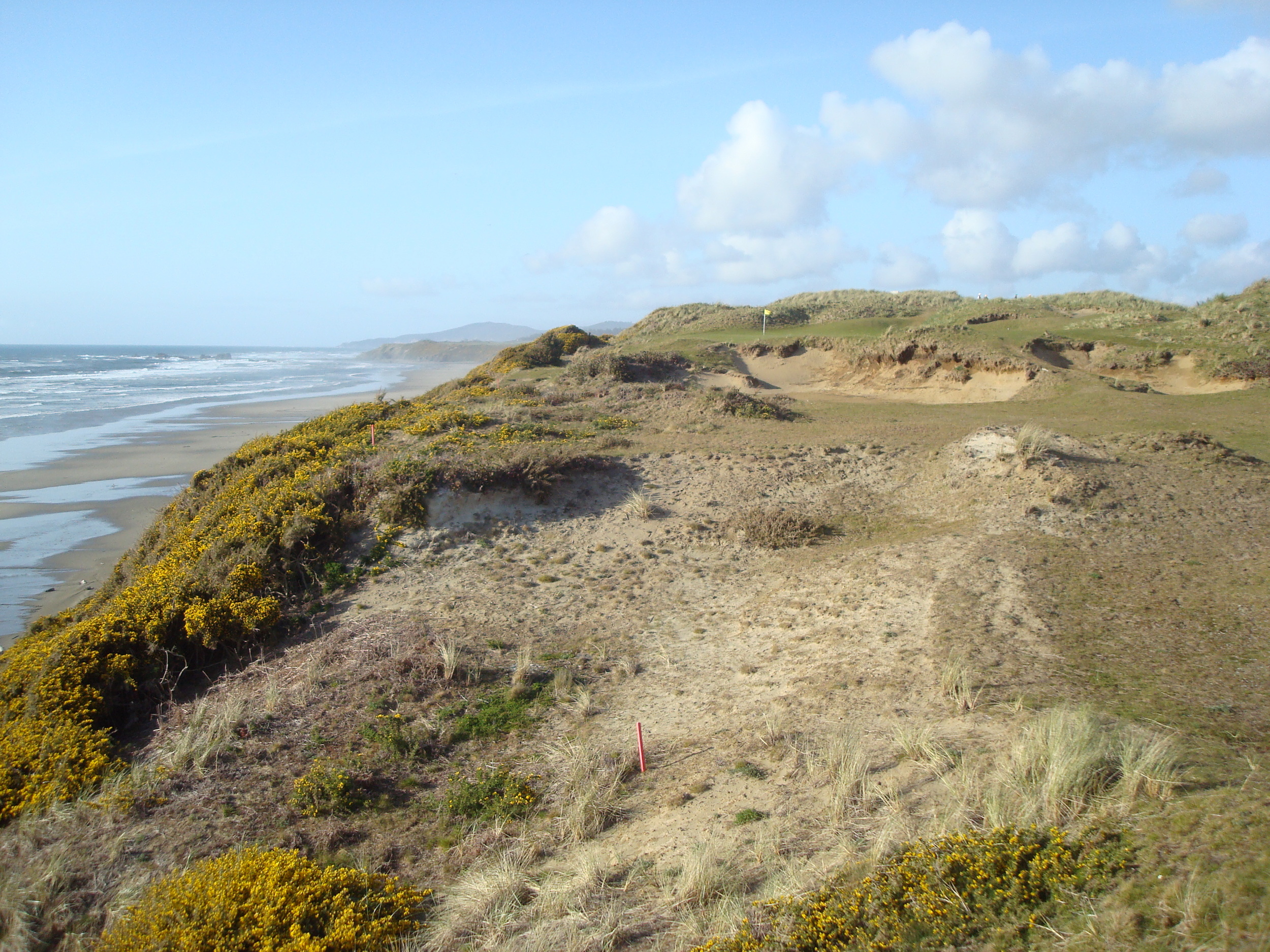 (5.28.13) pacific dunes.jpeg