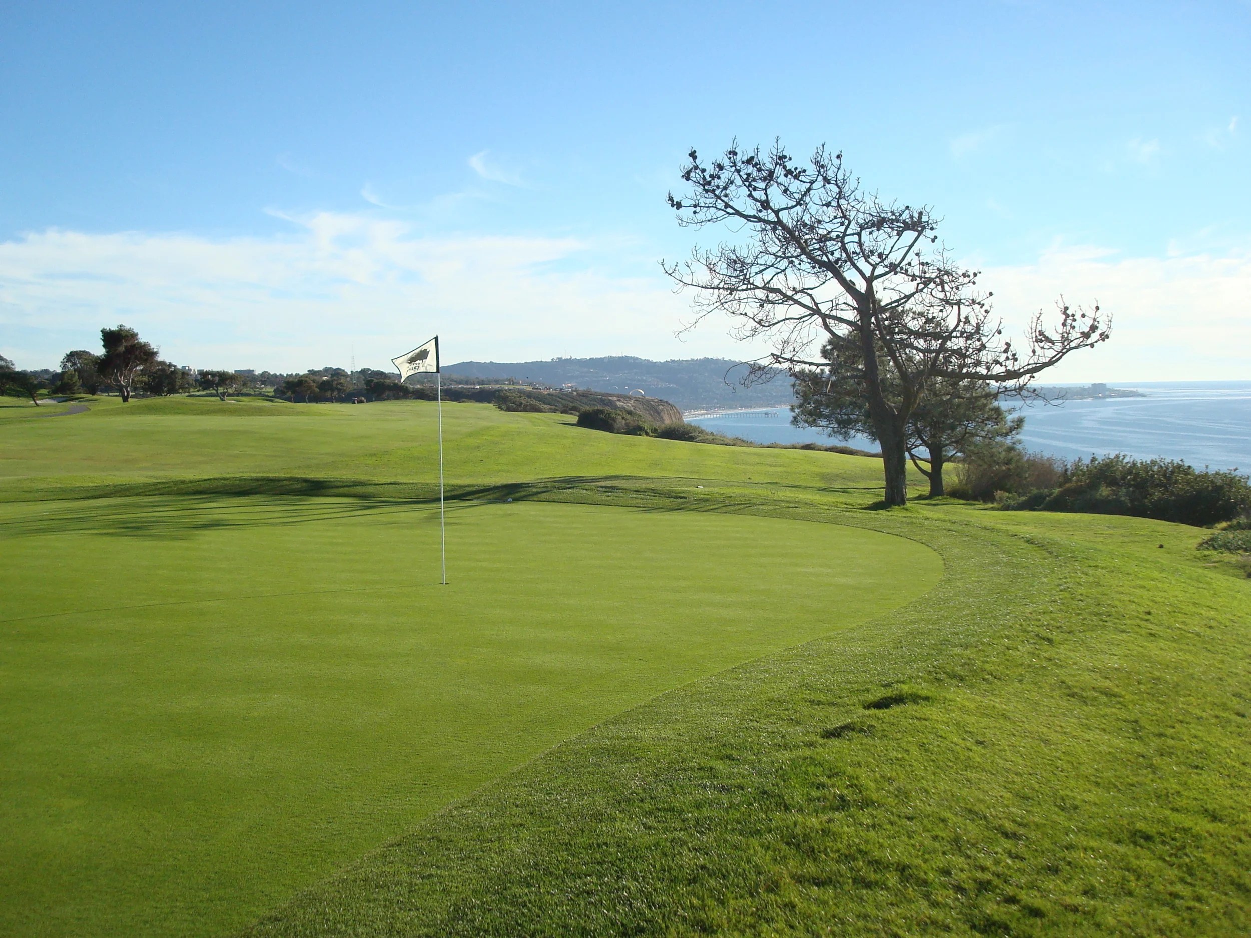 (5.17.13) torrey.jpeg