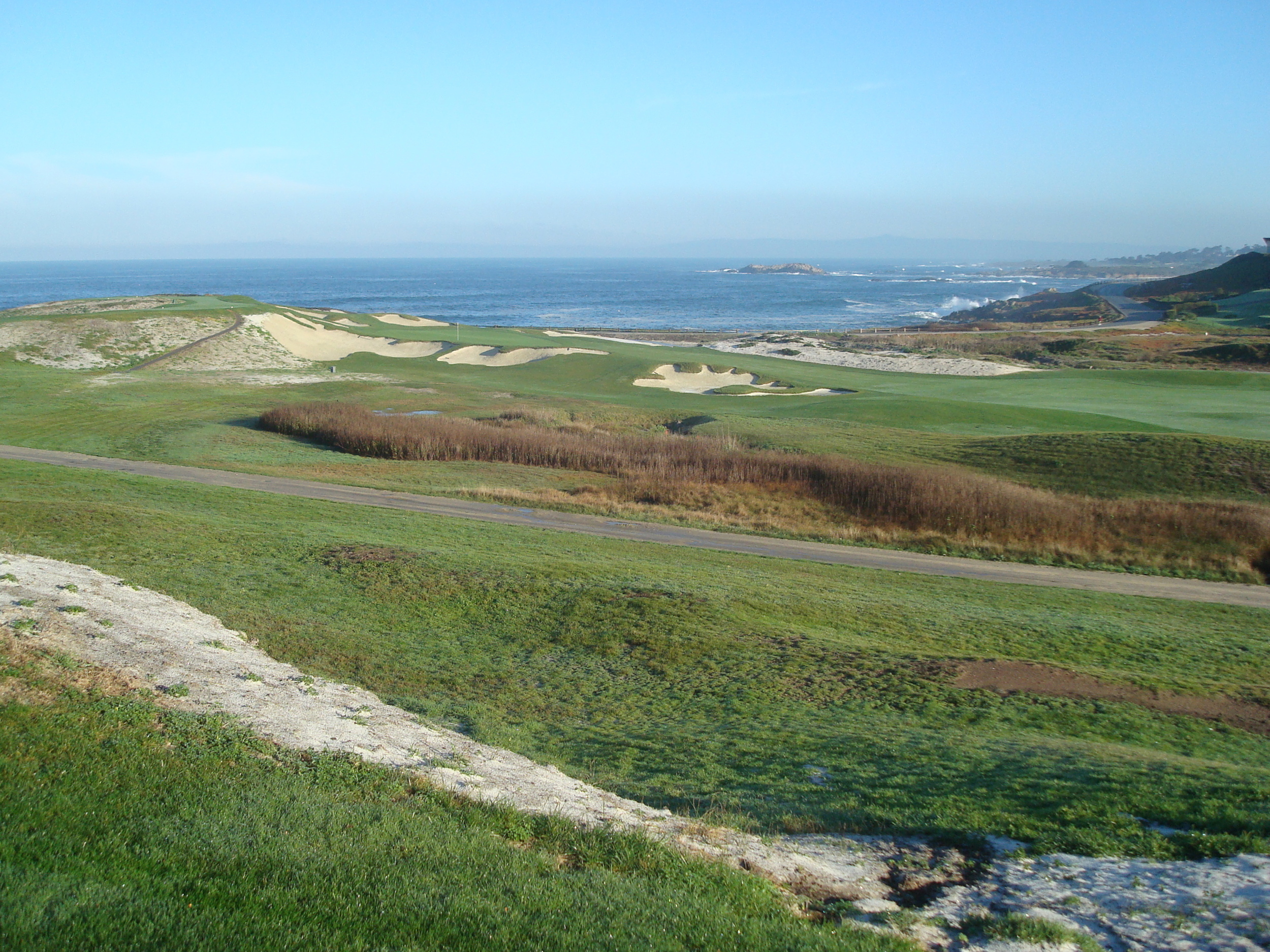 (5.20.13) cypress.JPG