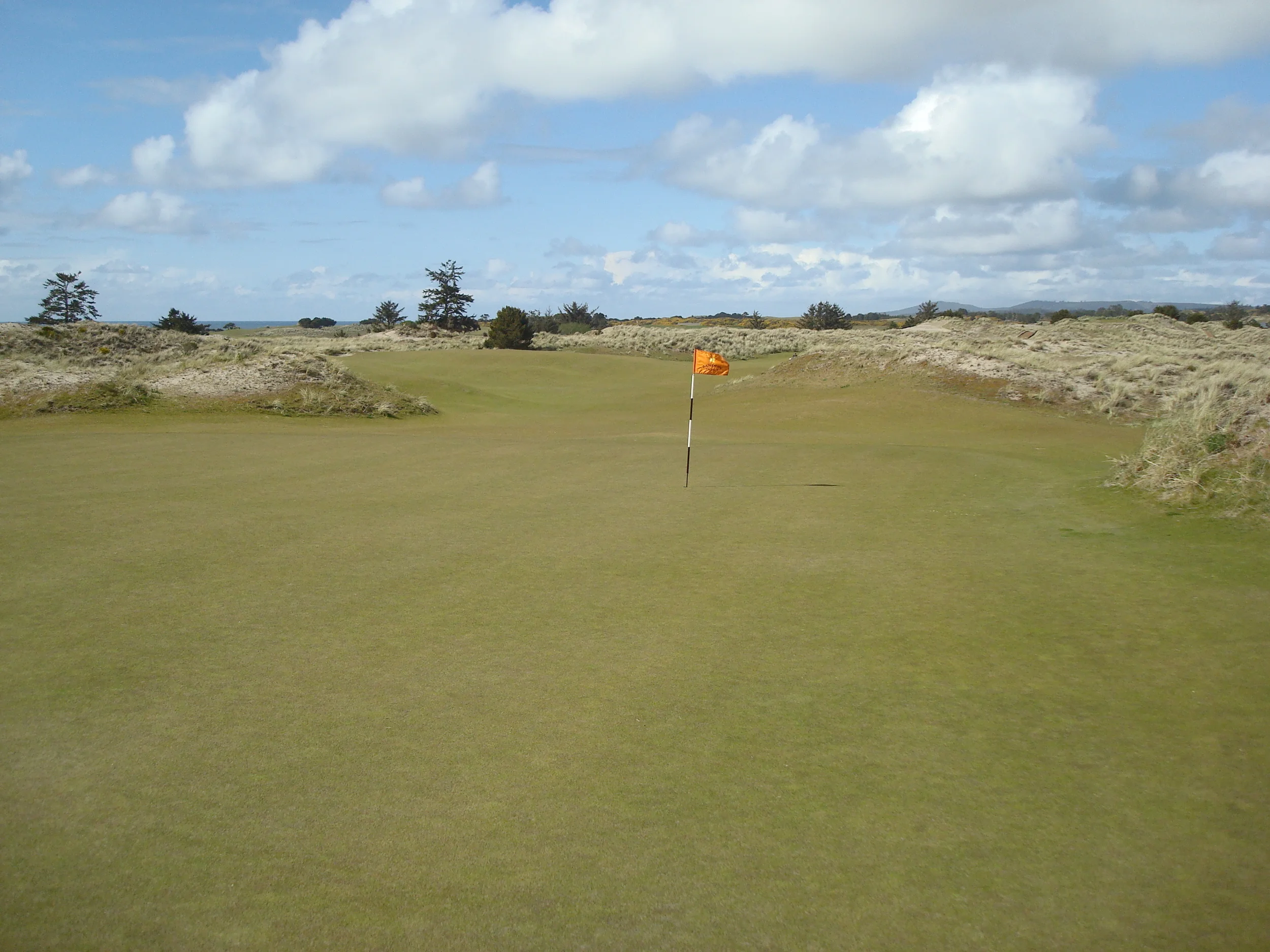 (8.1.13) trails.jpeg