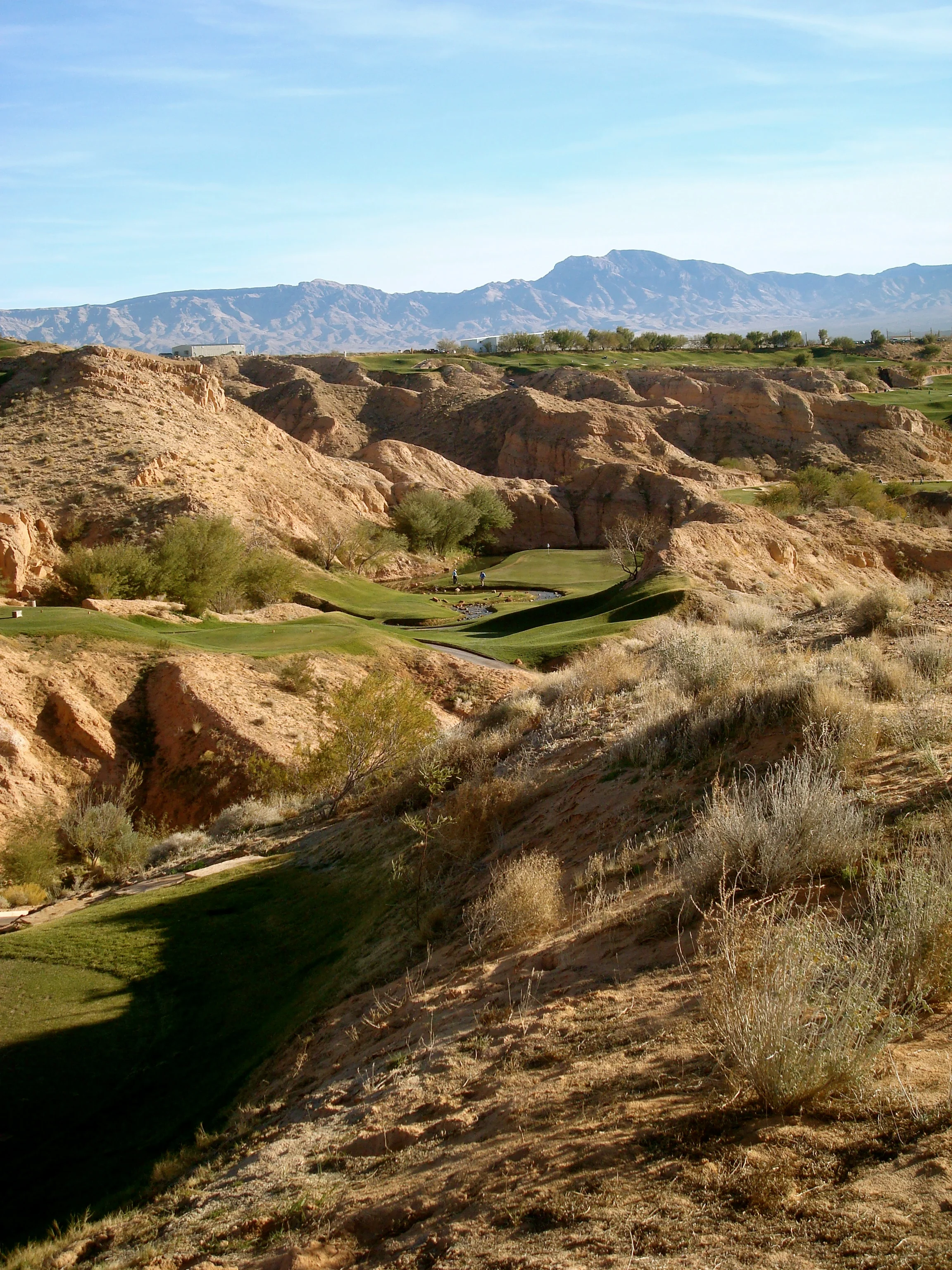 (8.5.13) wolf creek.jpeg