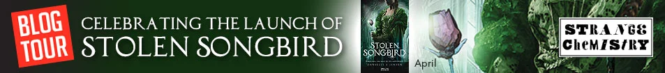 Stolen Songbird Tour Banner.jpg