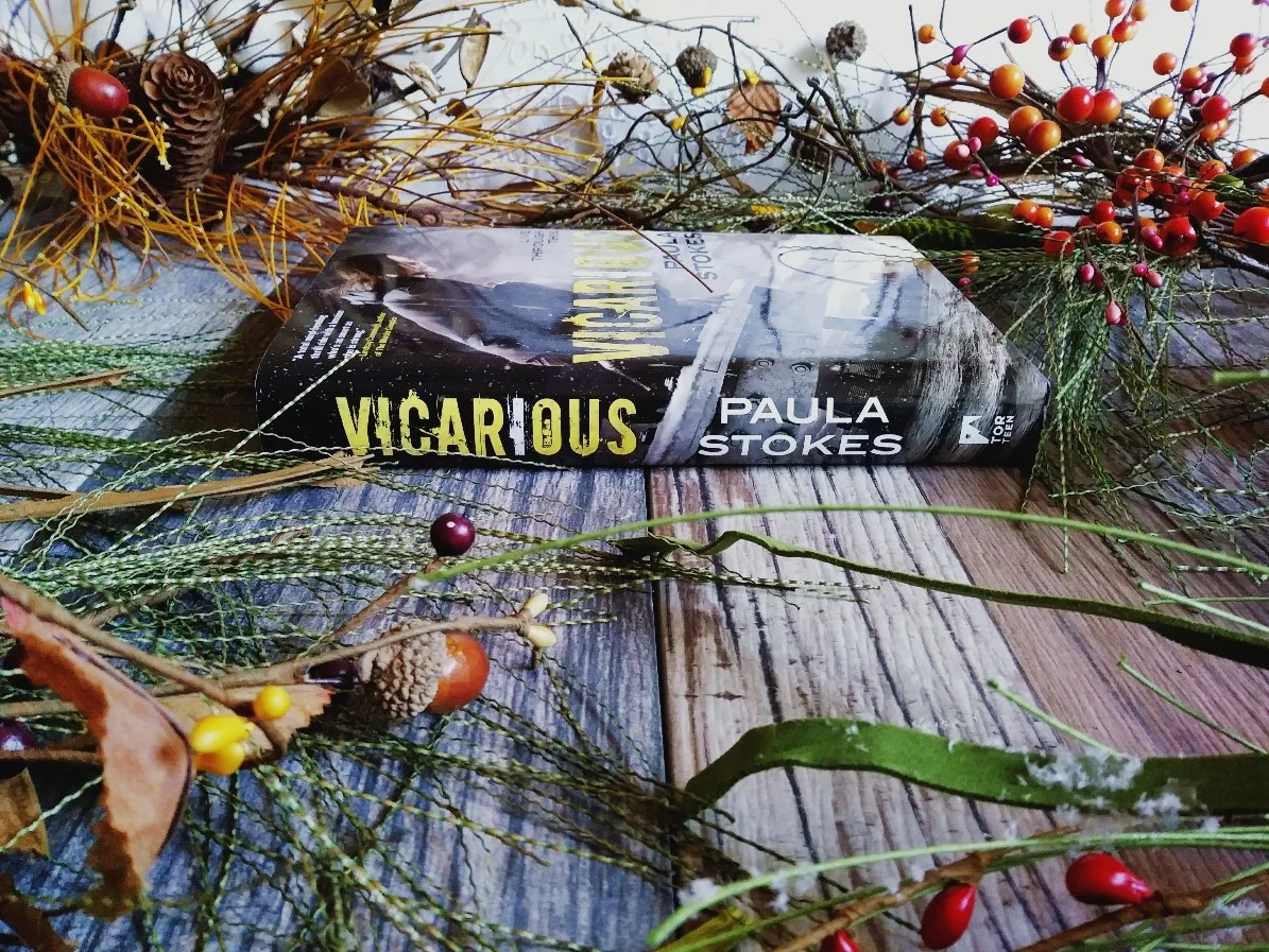 Vicarious by Paul Stokes 2017-12-07.jpg