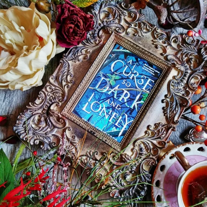 A Curse So Dark and Lonely by Brigid Kemmerer, image taken by Book Swoon.