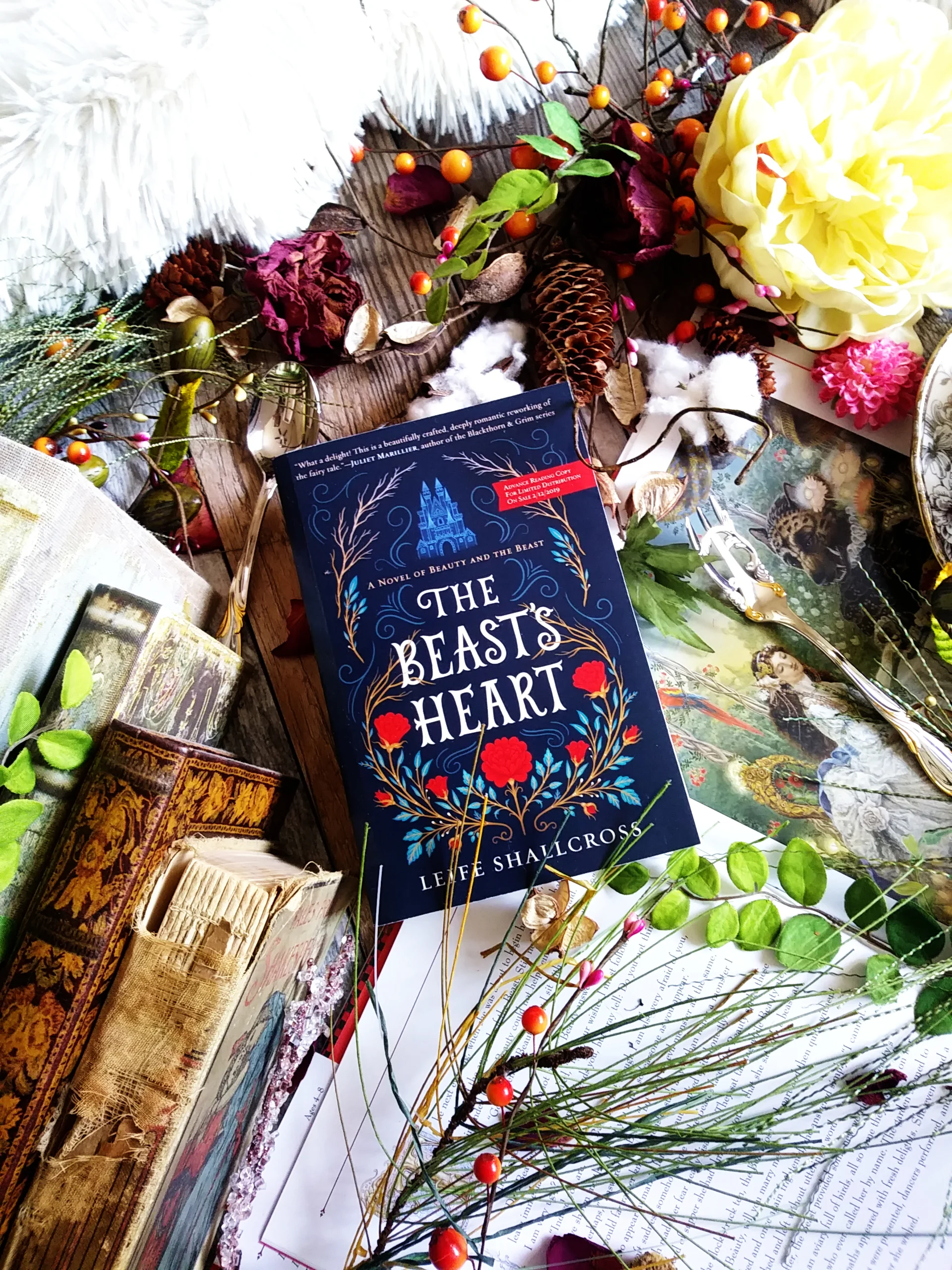 The Beast's Heart by Leife Shallcross 20190131_1132.jpg