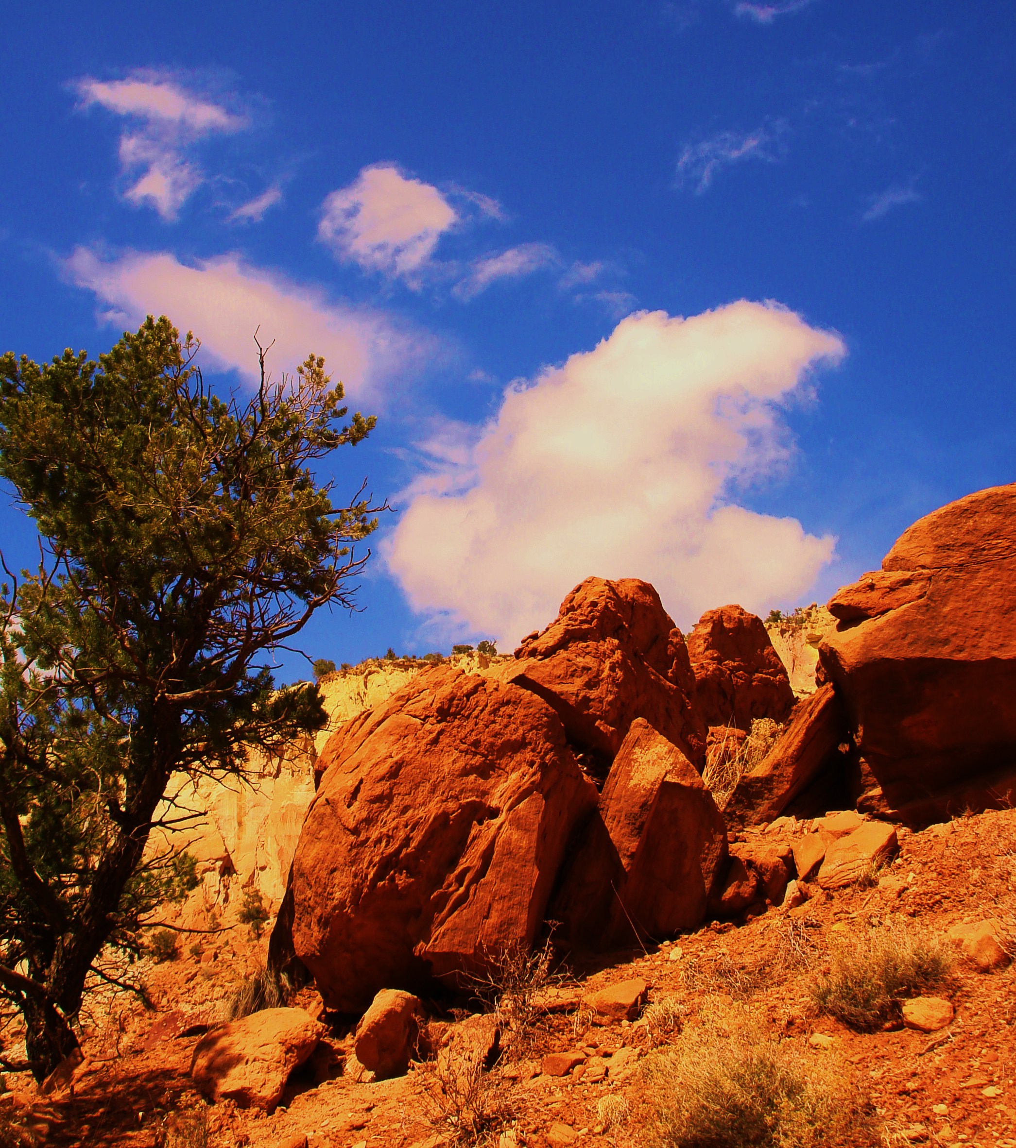 Ghost Ranch 2