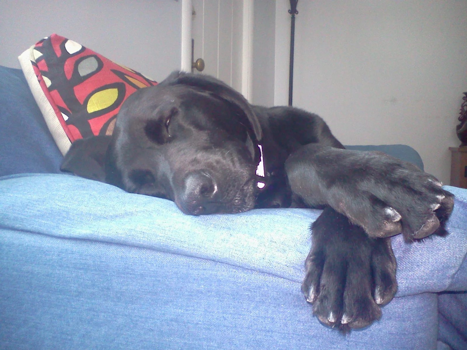 It's ok. You can't all look this cute when you sleep.
