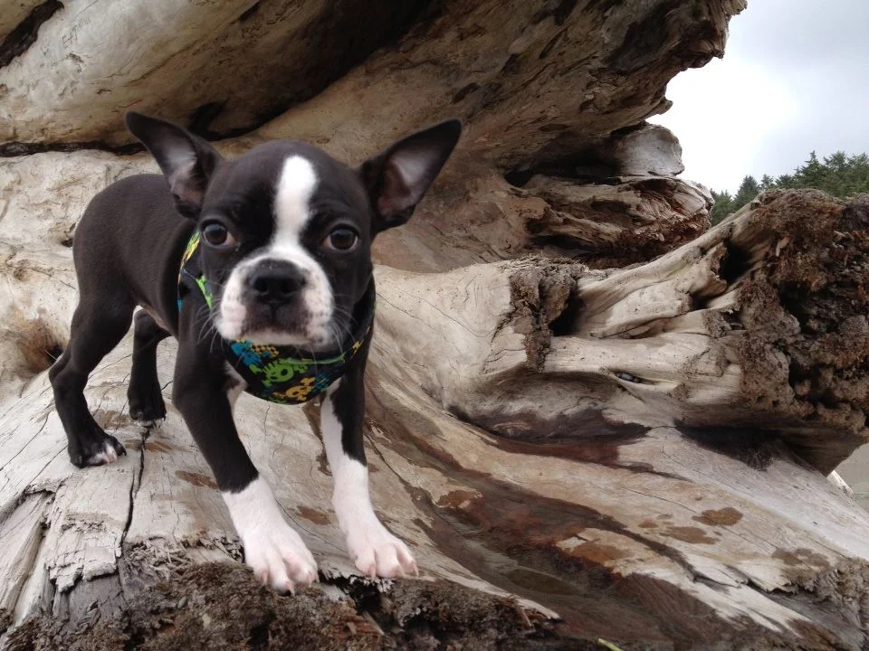 "I am king of the mountain!"