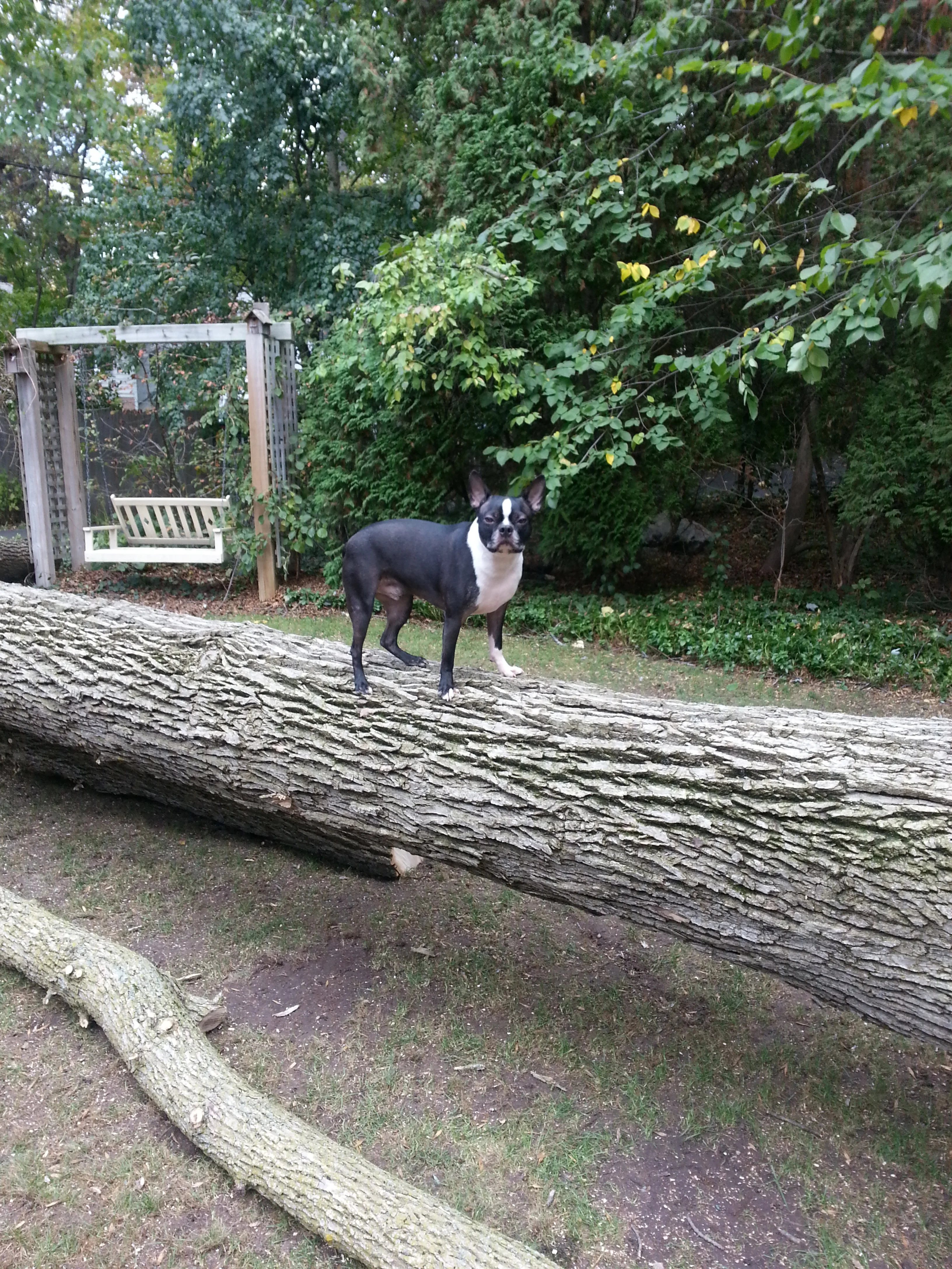 No, my stick!