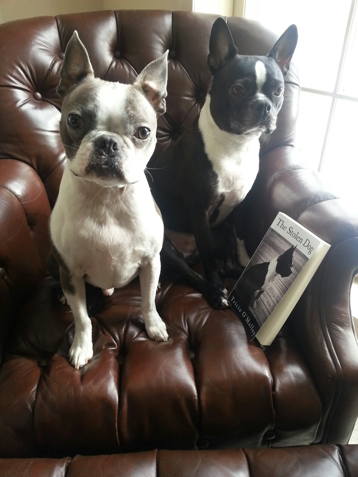 20140213_133839.jpeg