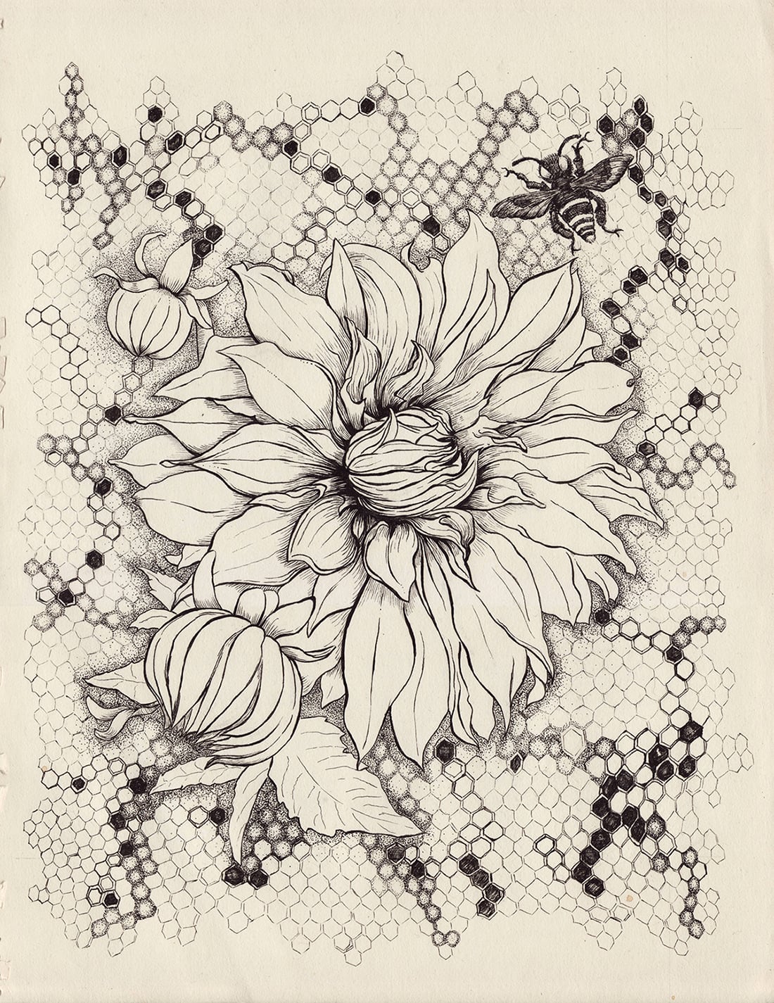 pen & ink on paper 11" x 14"