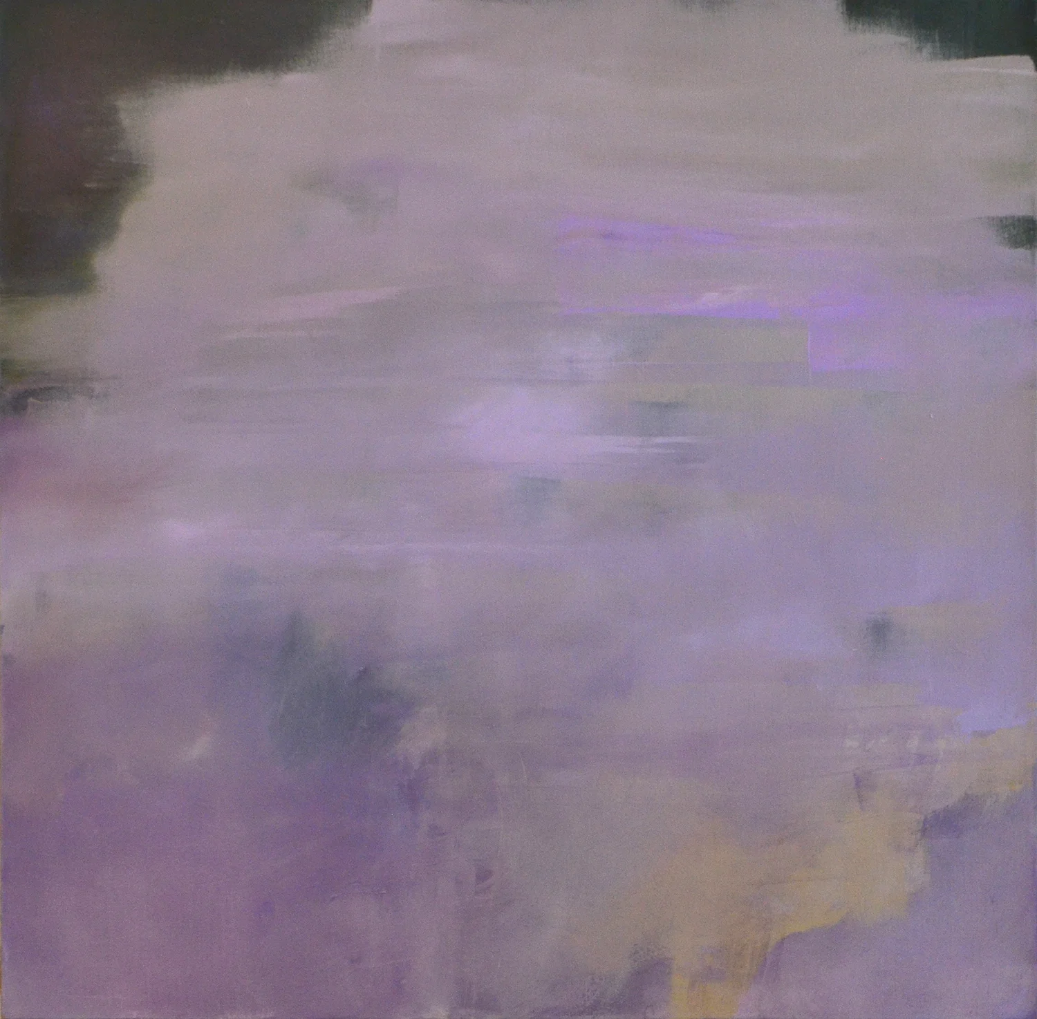 36" x 36” 2019 oil $2700