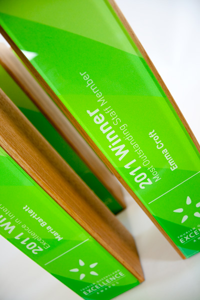 modern trophy design, sustainable awards, eco awards, sustainable trophies, eco trophies, environmentally friendly awards and trophies, modern trophy, modern trophies, custom trophies, custom trophy
