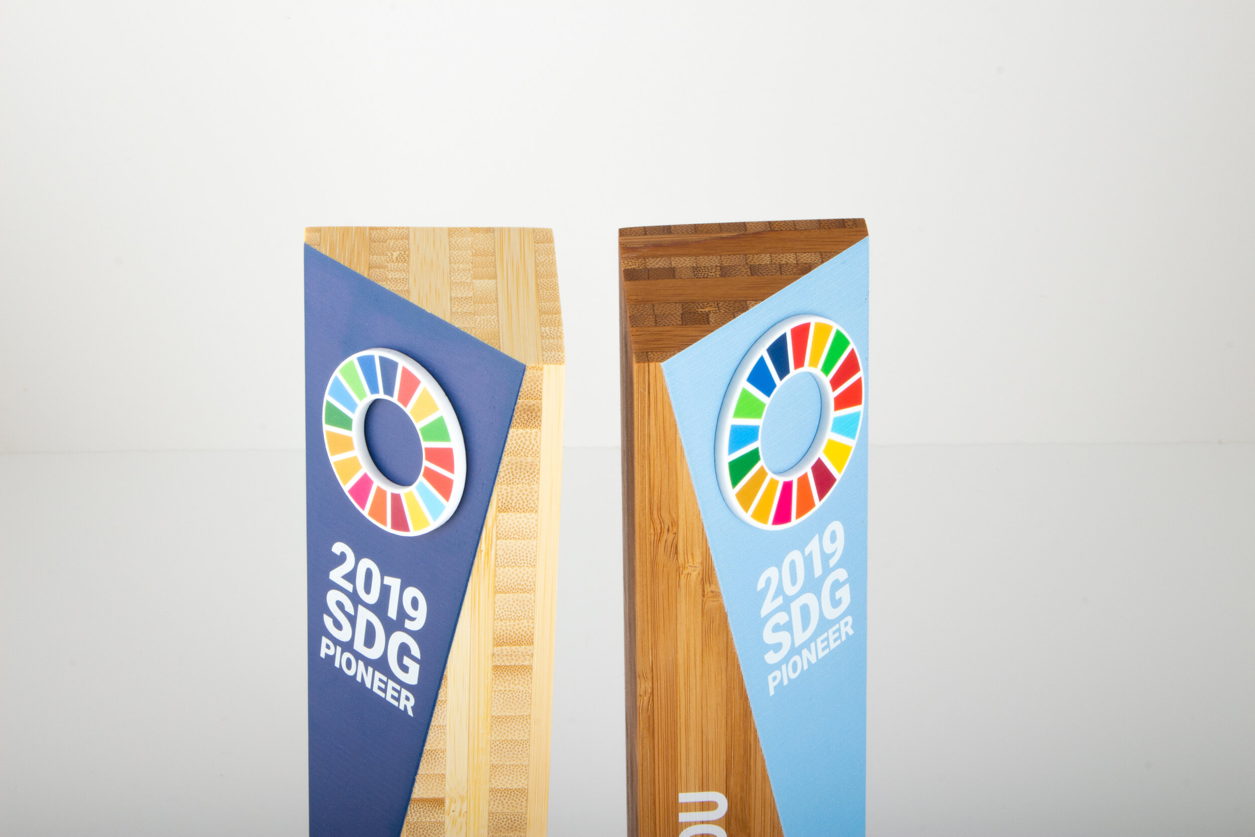 sdg pioneer eco award for sustainability practices UN global compact