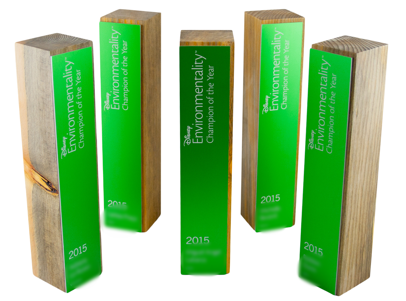 custom+eco+sustainable+awards+green
