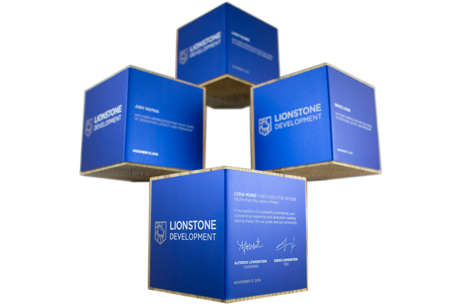 lionstone development awards wooden cube design trophies