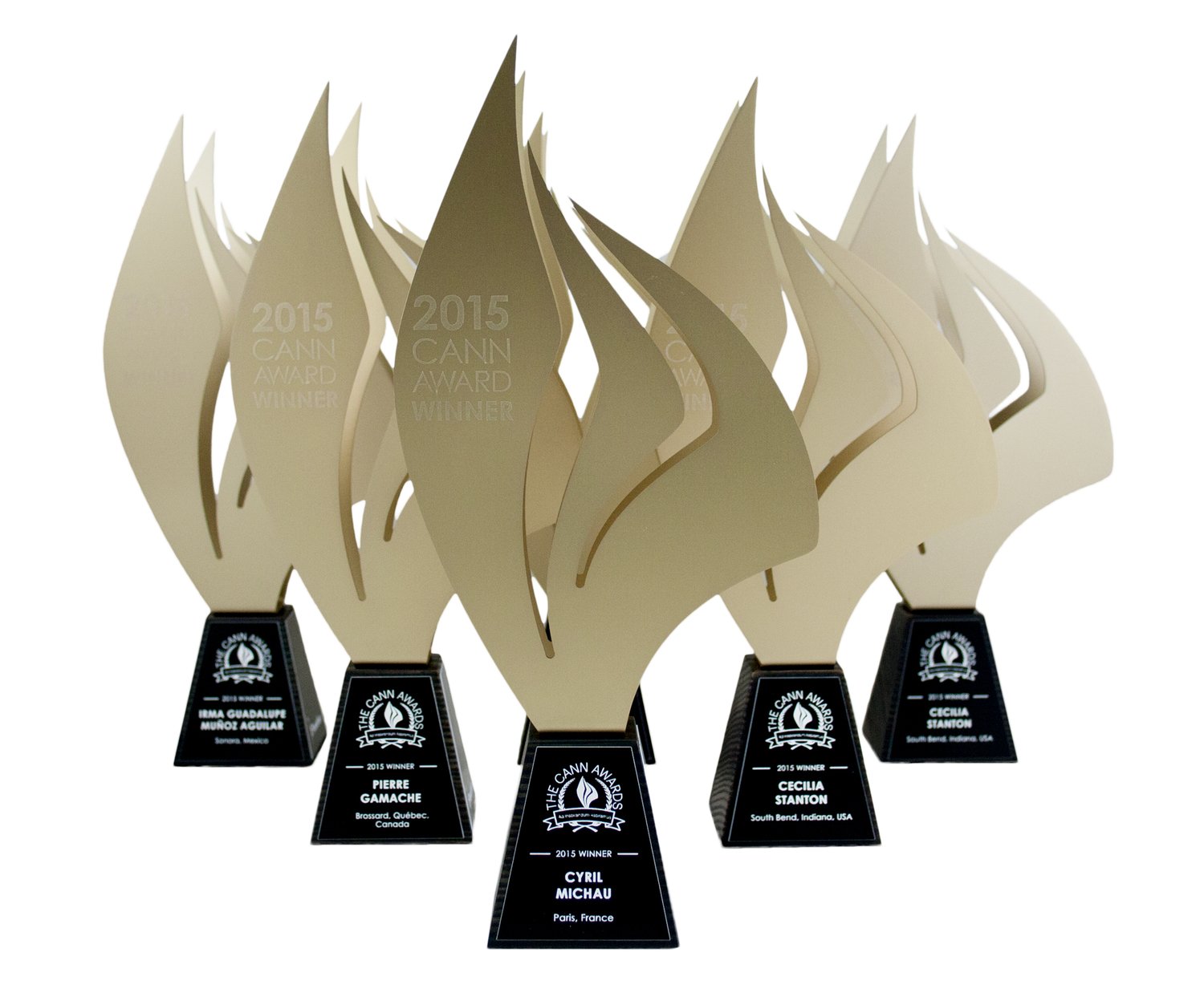 elegant metal trophy award with wooden base