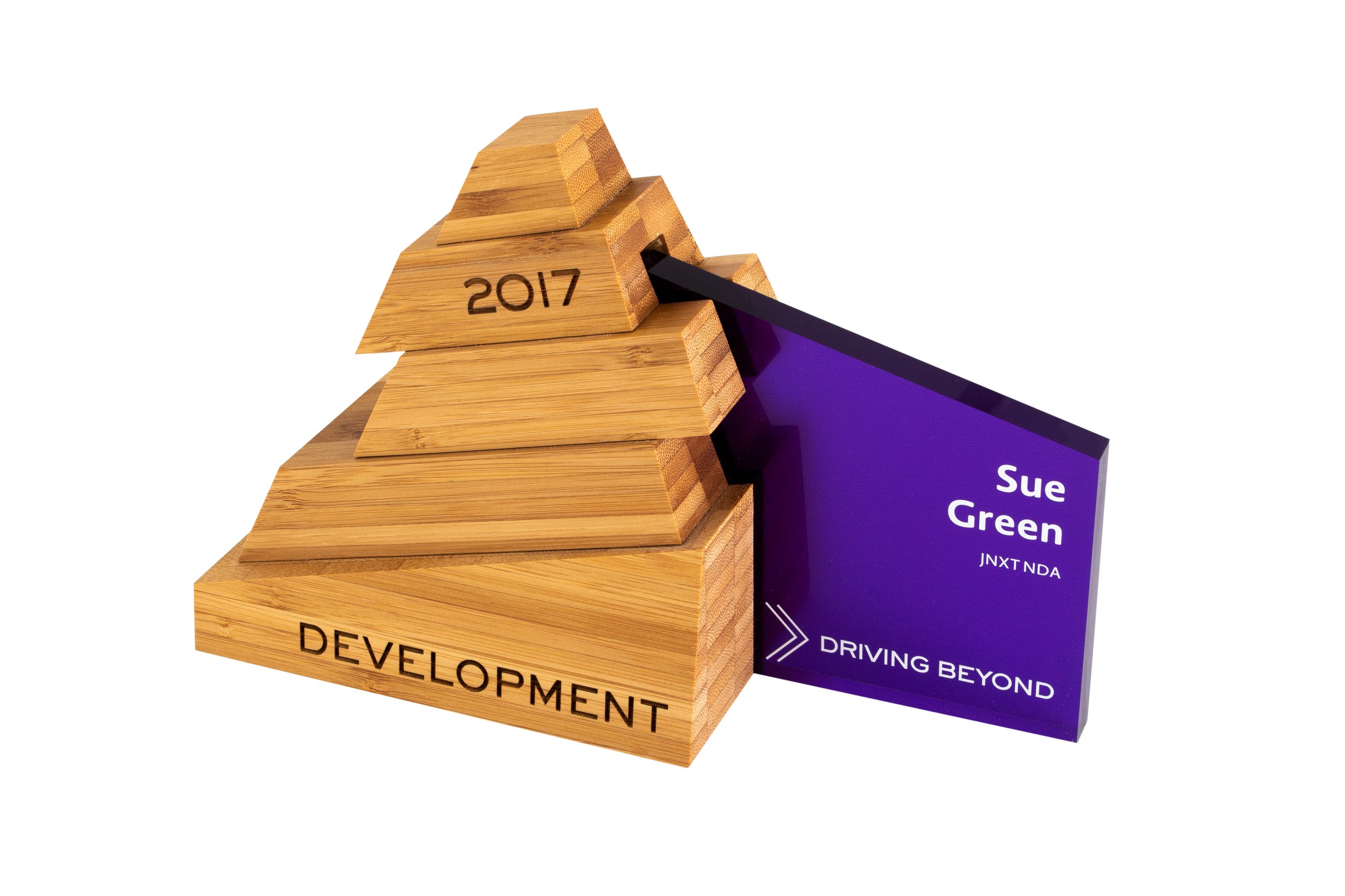 abbvie development awards sustianably sourced bamboo fancy design wow factor