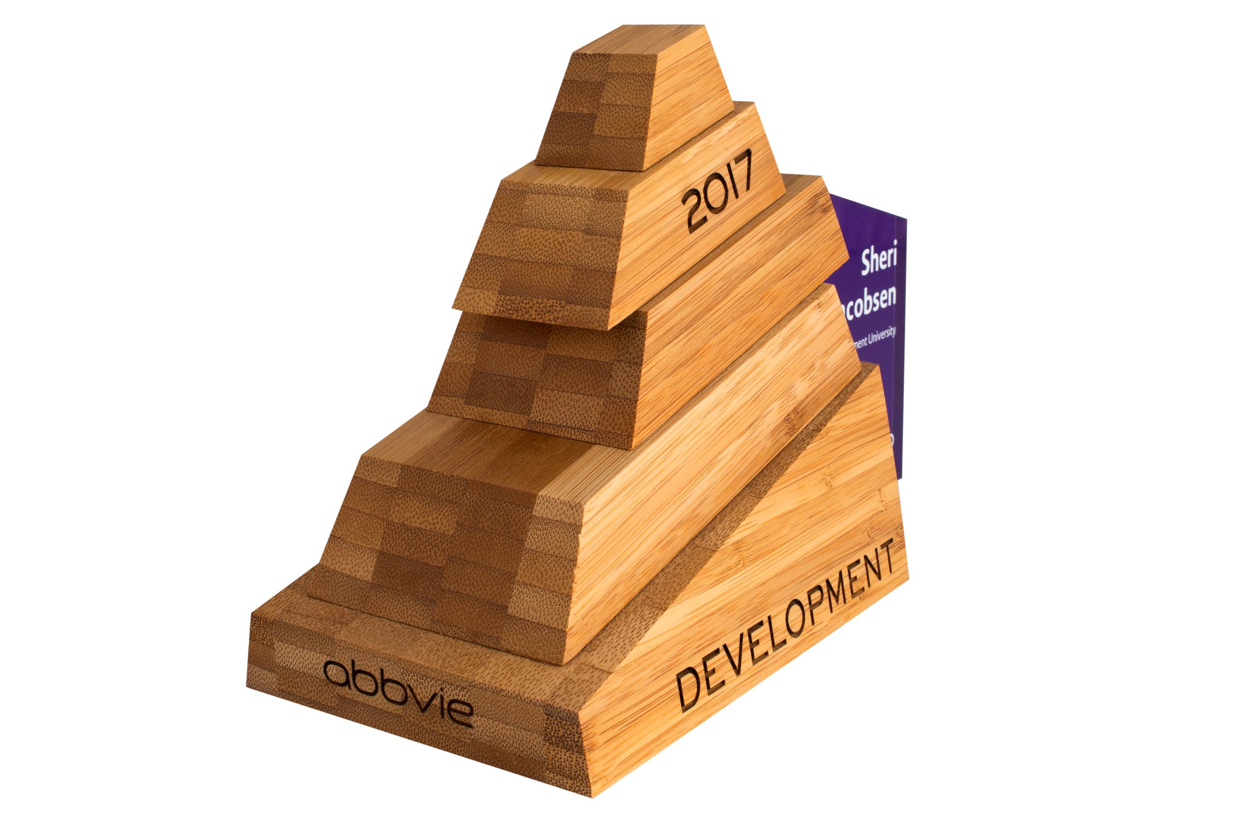 abbvie-development-awards-sustianably-sourced-bamboo-fancy-design-wow-factor