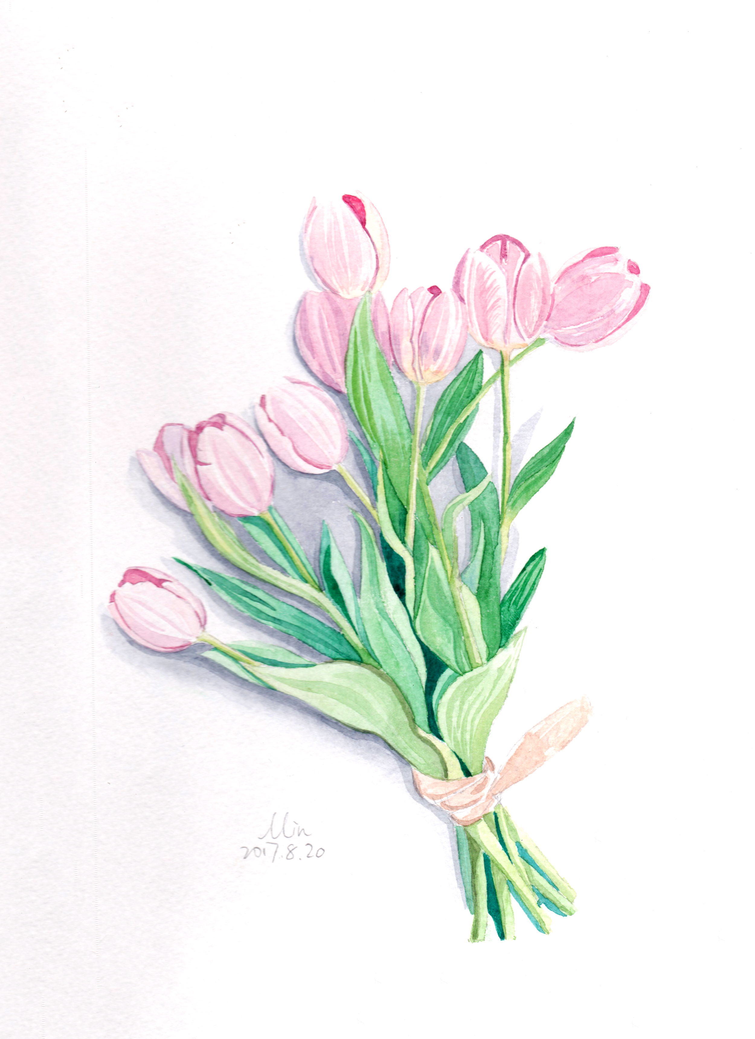 tulips.png