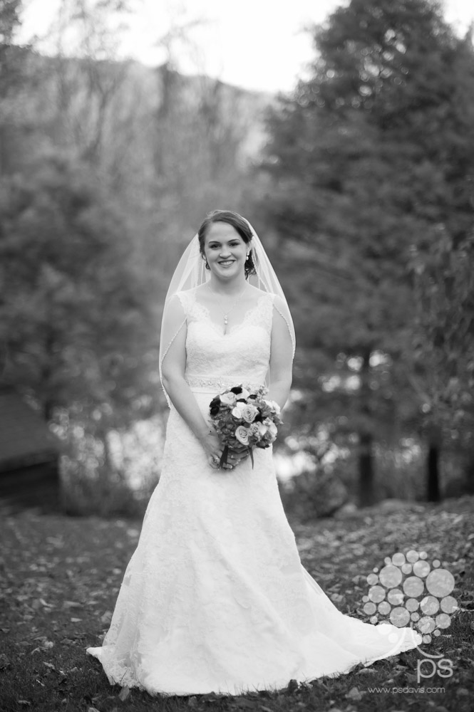 Mountain House Inn Lexington wedding-1027.jpg