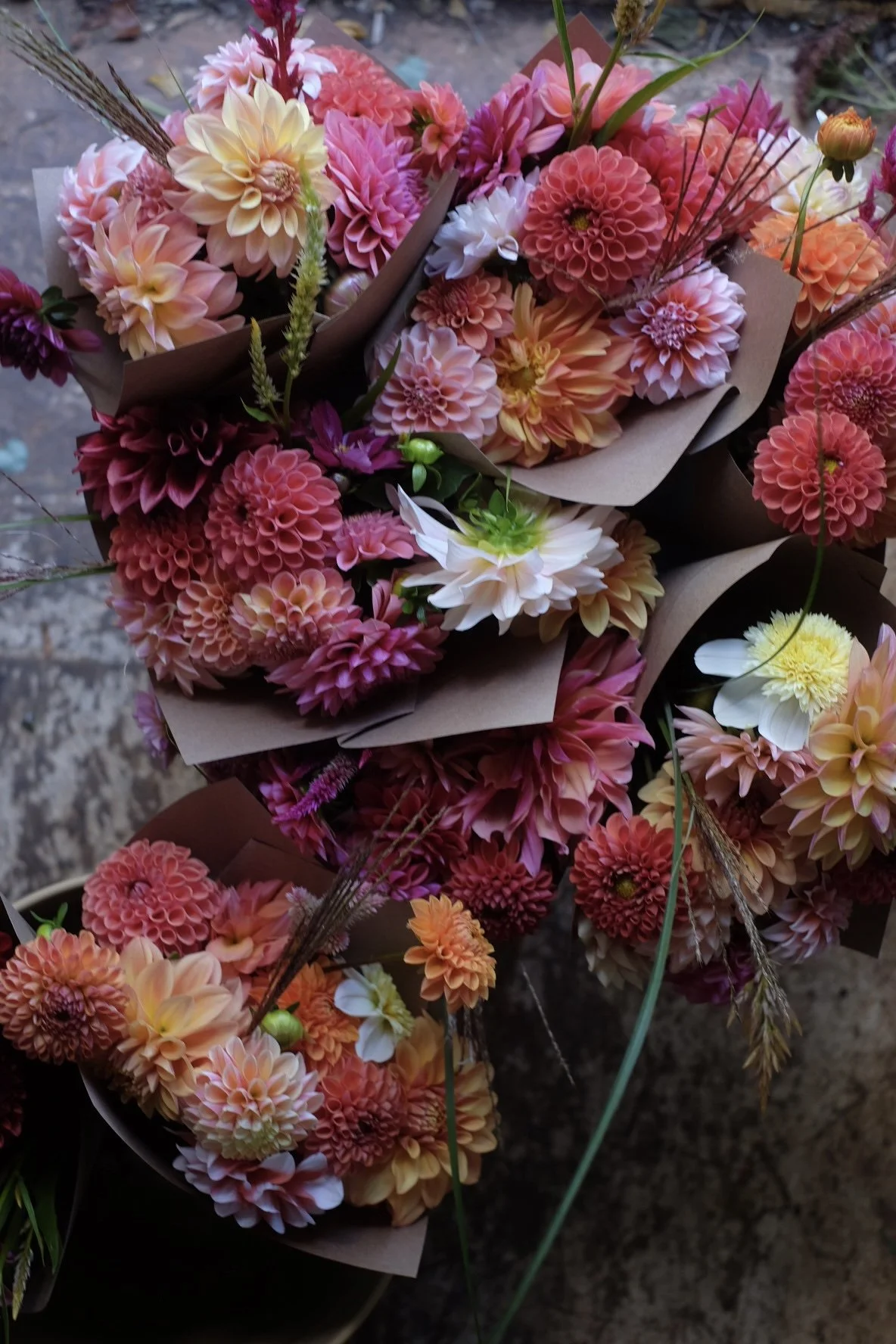 2026 Fall Bouquet CSA (5 bouquets)