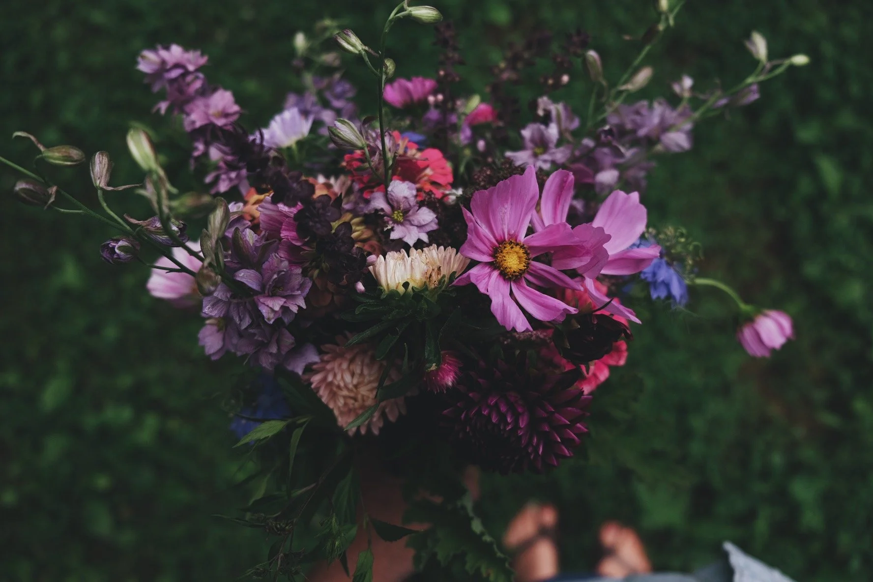 Curated Cut Flower Garden (Summer/Fall)