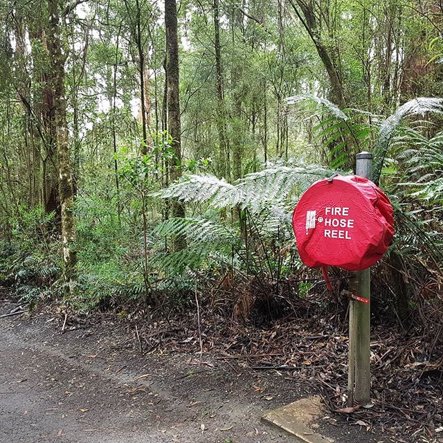 Even in the middle of the Otway forest we are still confronted with Building Regulations!

#archdaily #architecture #fire #hydraulicengineering #forest #otways #weekend