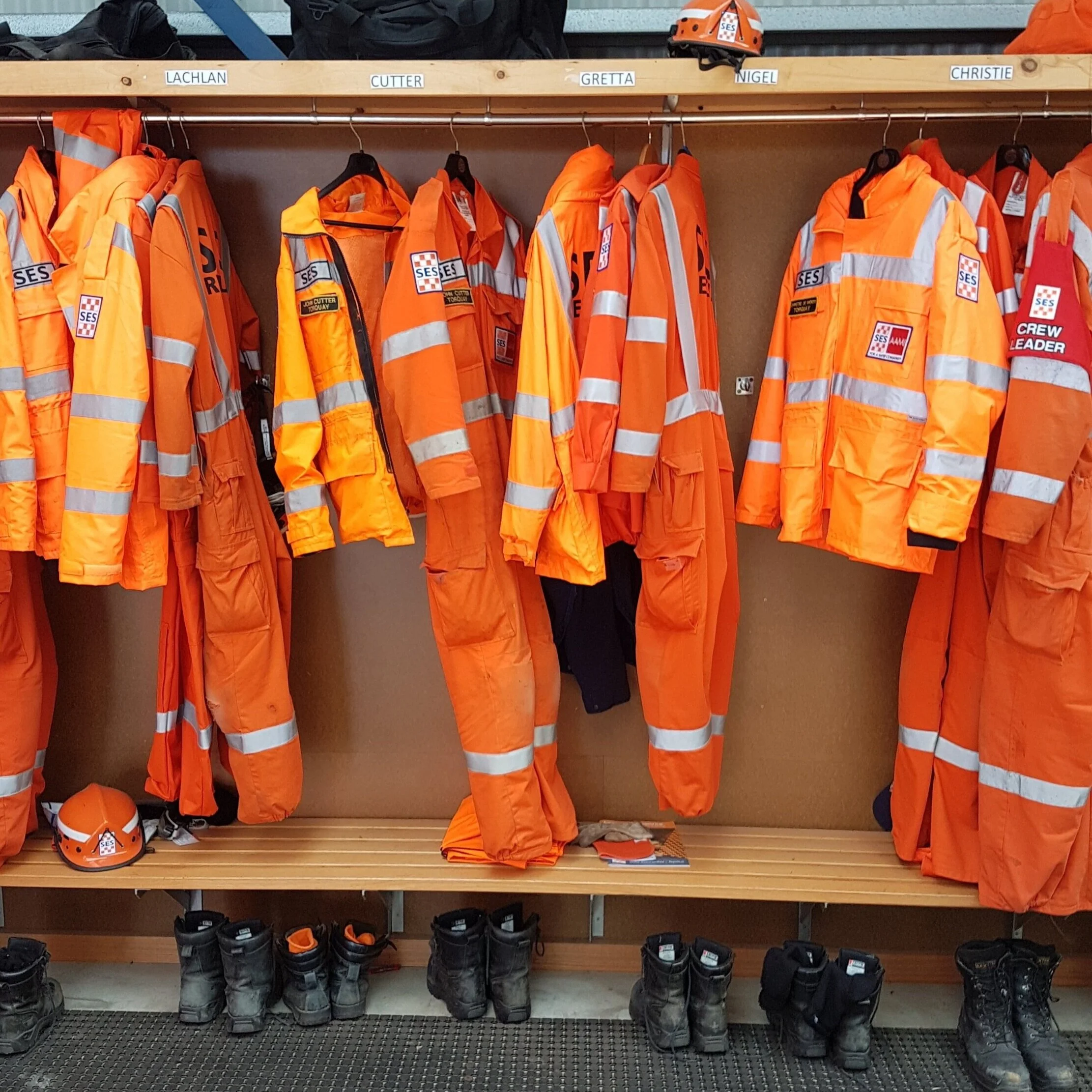 VICSES.jpg
