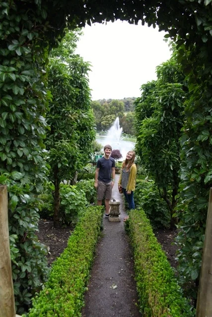 A local maze garden