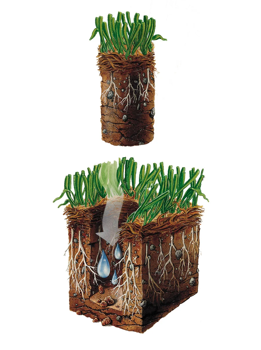 Aeration-Picture.jpg