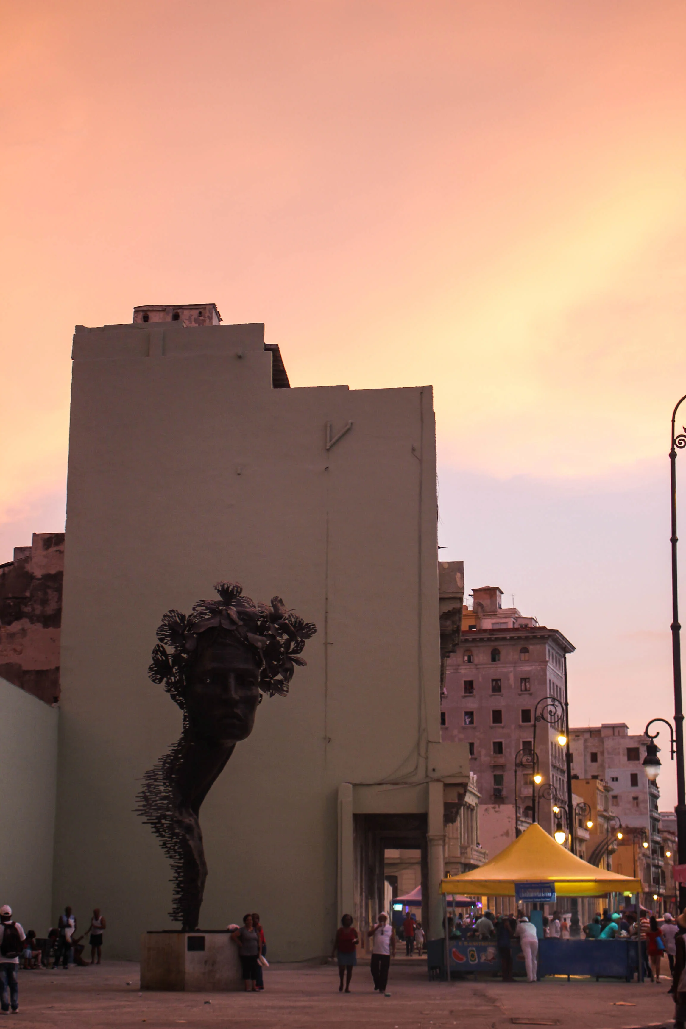Image-8.jpg